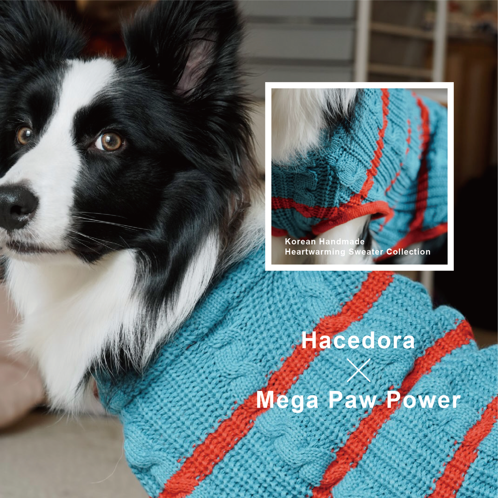 Hacedora｜冬日散步 - 狗狗毛衣背心