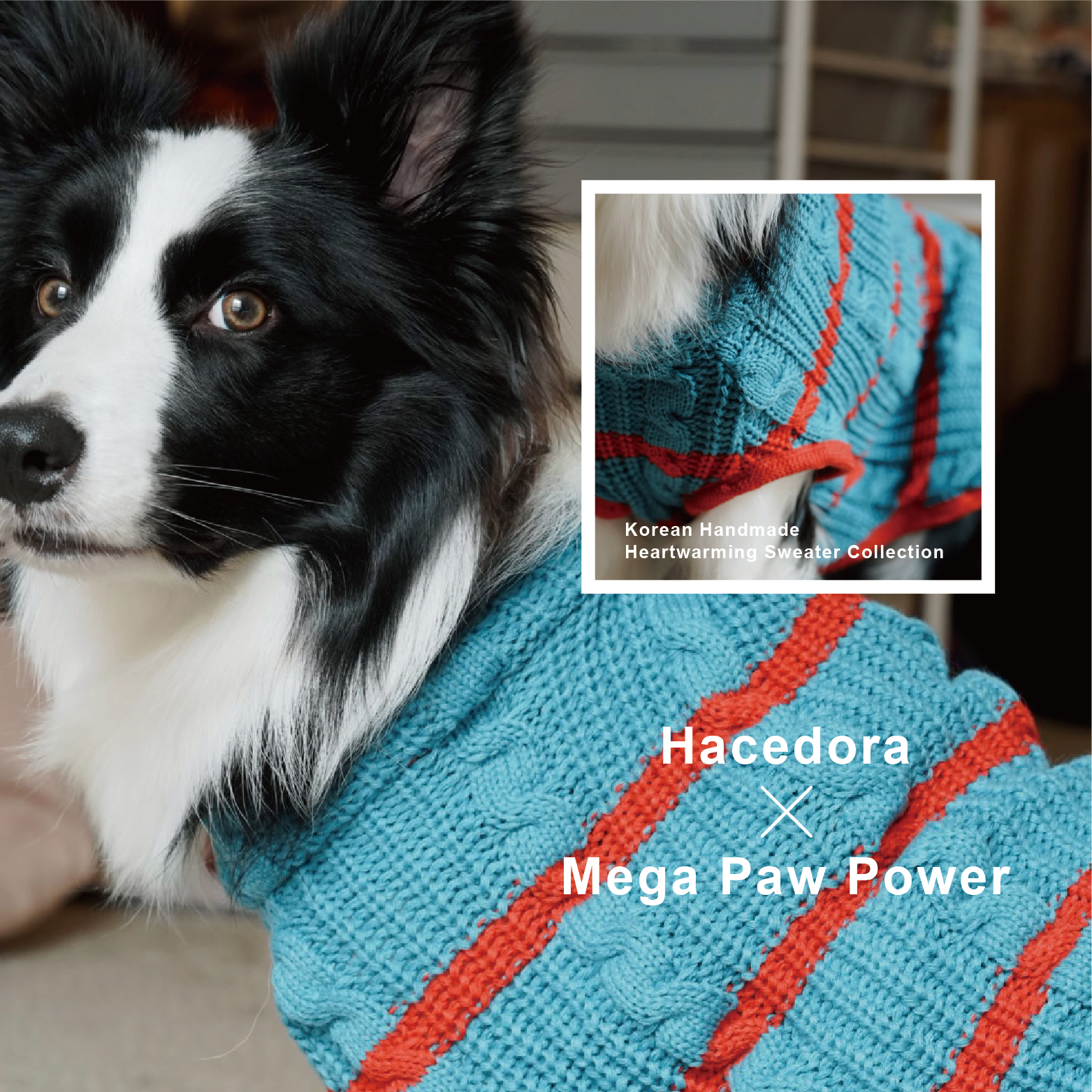Hacedora｜冬日散步 - 狗狗毛衣背心