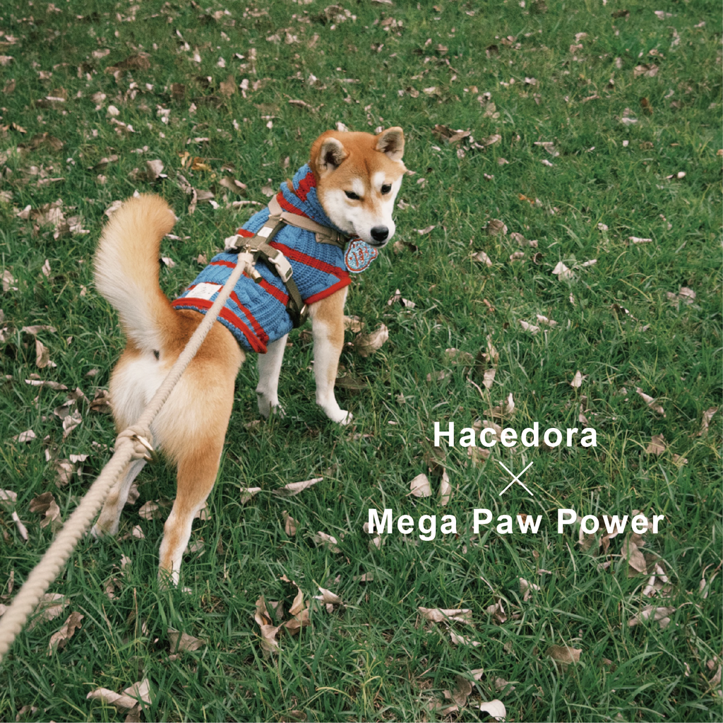 Hacedora｜冬日散步 - 狗狗毛衣背心