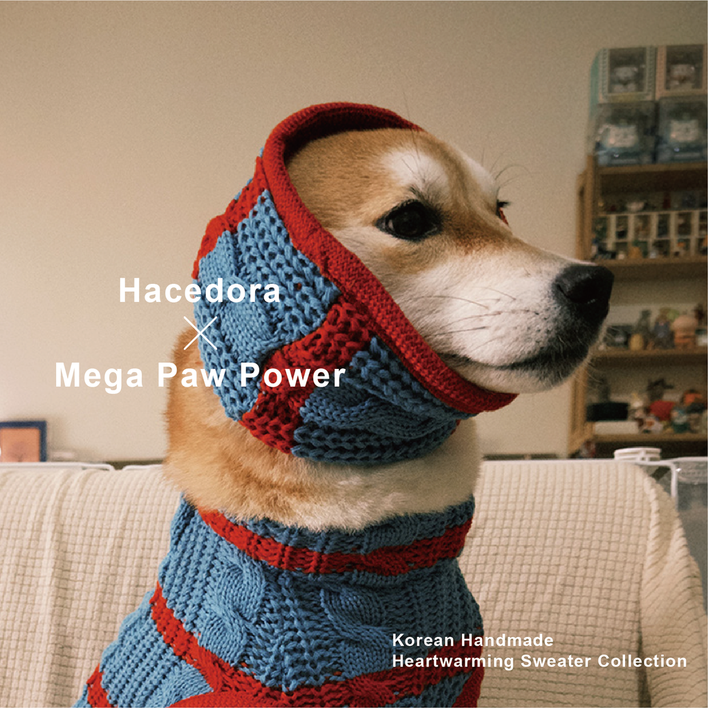 Hacedora｜冬日散步 - 狗狗圍巾