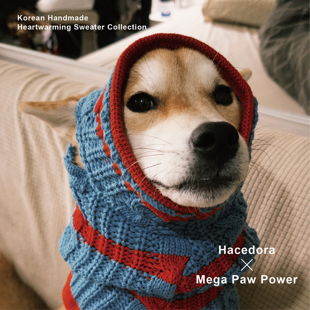 Hacedora｜冬日散步 - 狗狗毛帽