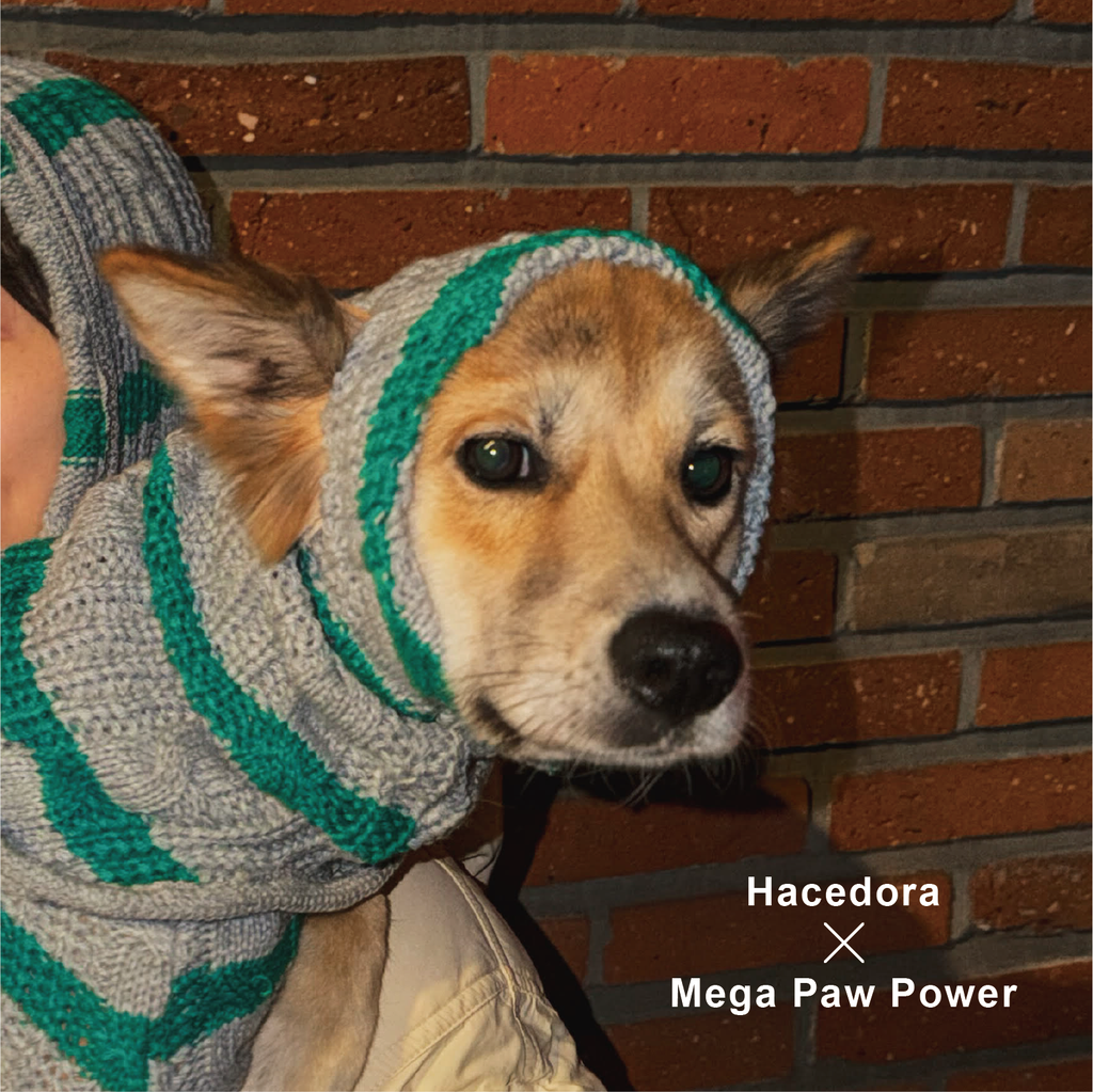 Hacedora｜冬日散步 - 狗狗毛帽