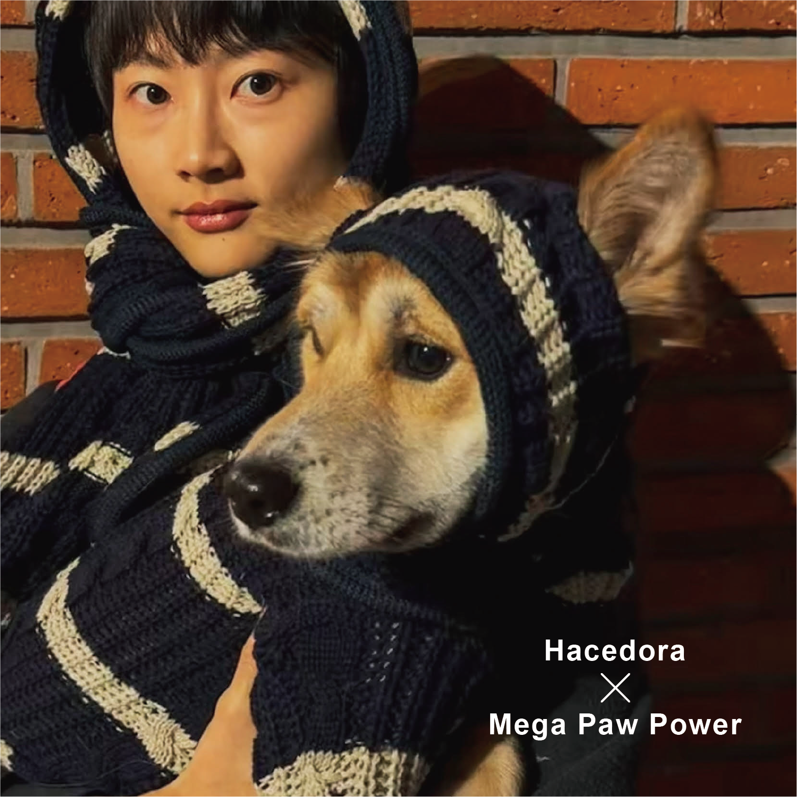 Hacedora｜冬日散步 - 狗狗毛帽