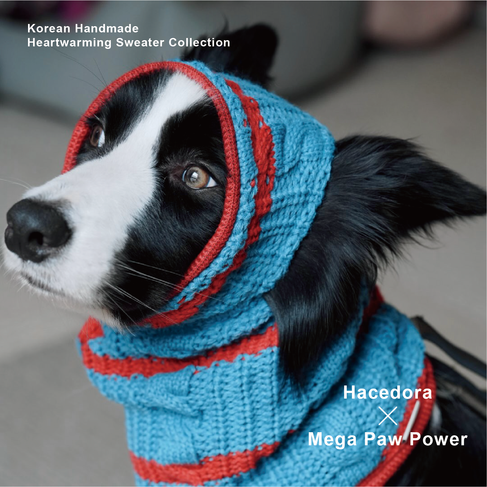 Hacedora｜冬日散步 - 狗狗毛帽