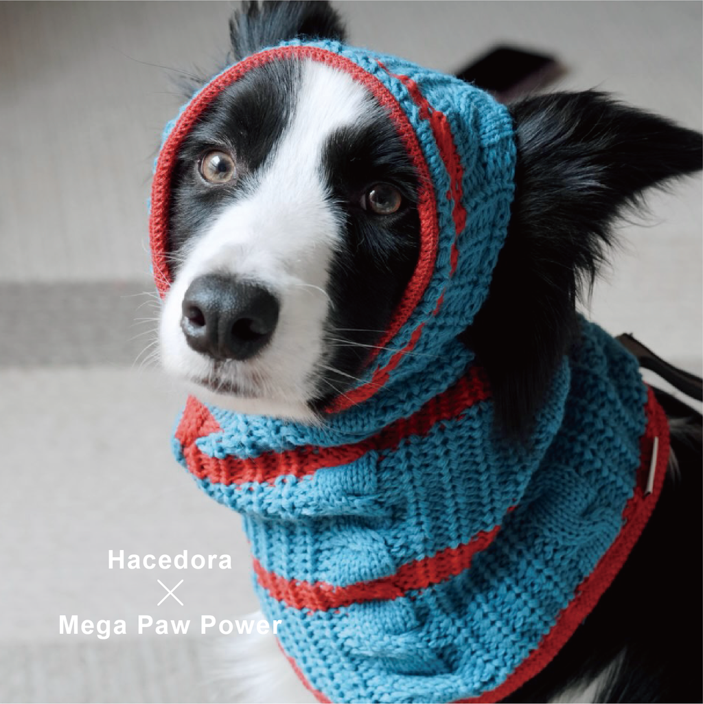 Hacedora｜冬日散步 - 狗狗毛帽