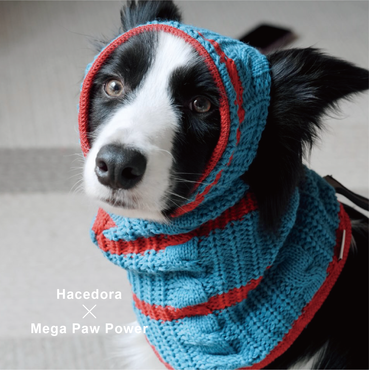Hacedora｜冬日散步 - 狗狗毛帽
