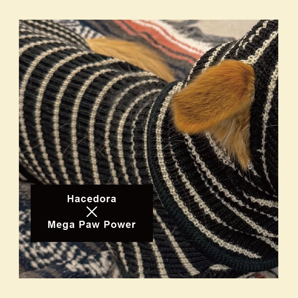 Hacedora｜春日散步 - 狗狗針織背心