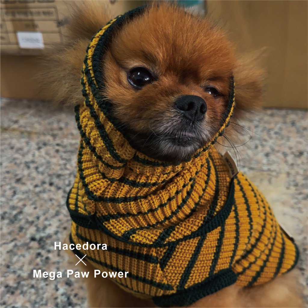 Hacedora｜春日散步 - 狗狗針織背心