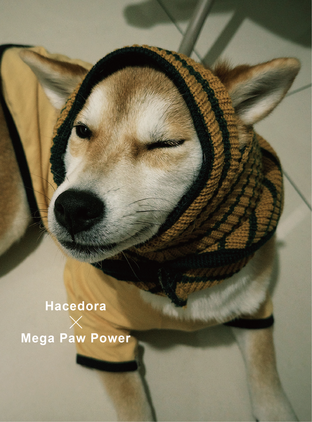 Hacedora｜春日散步 - 狗狗針織帽