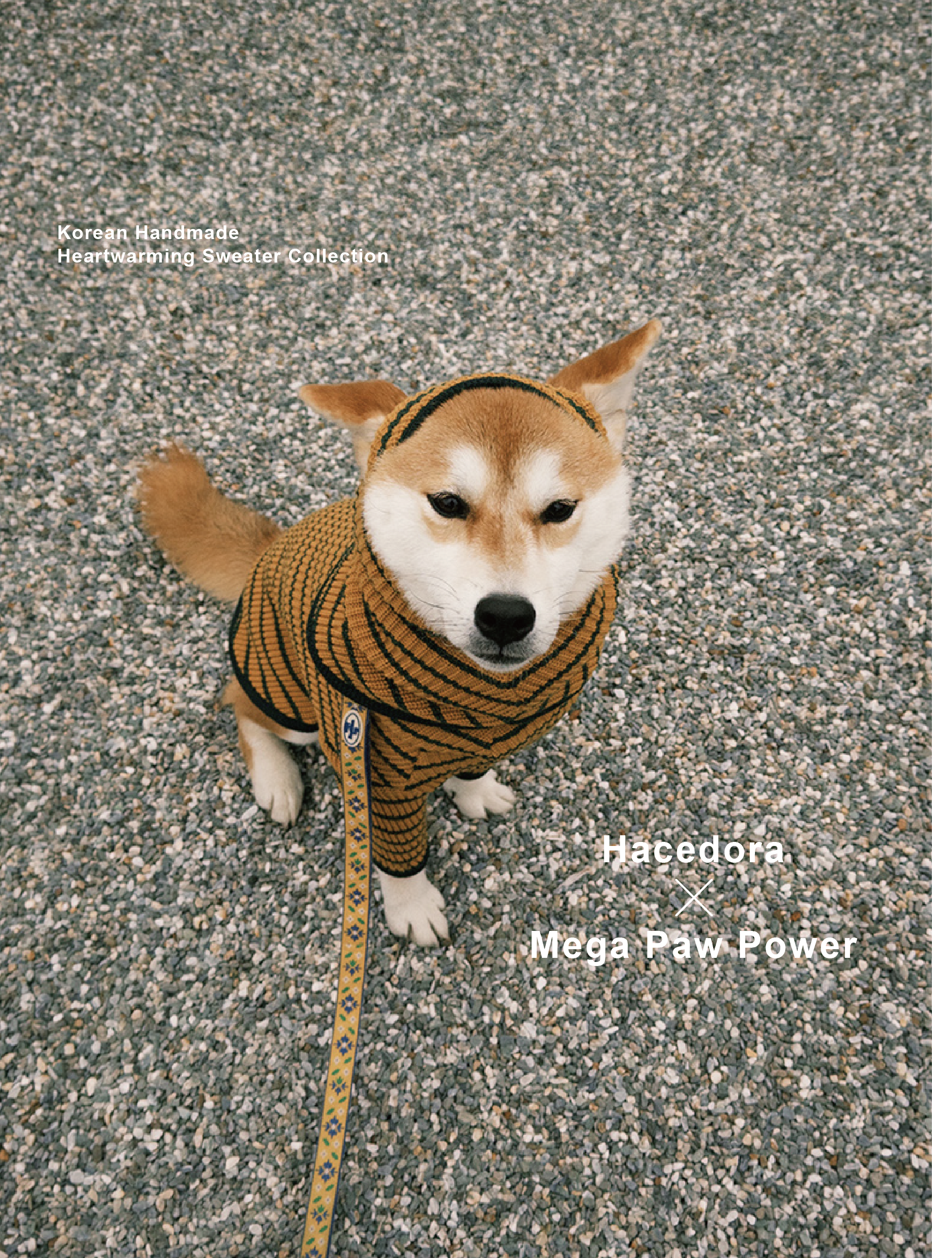 Hacedora｜春日散步 - 狗狗針織長袖