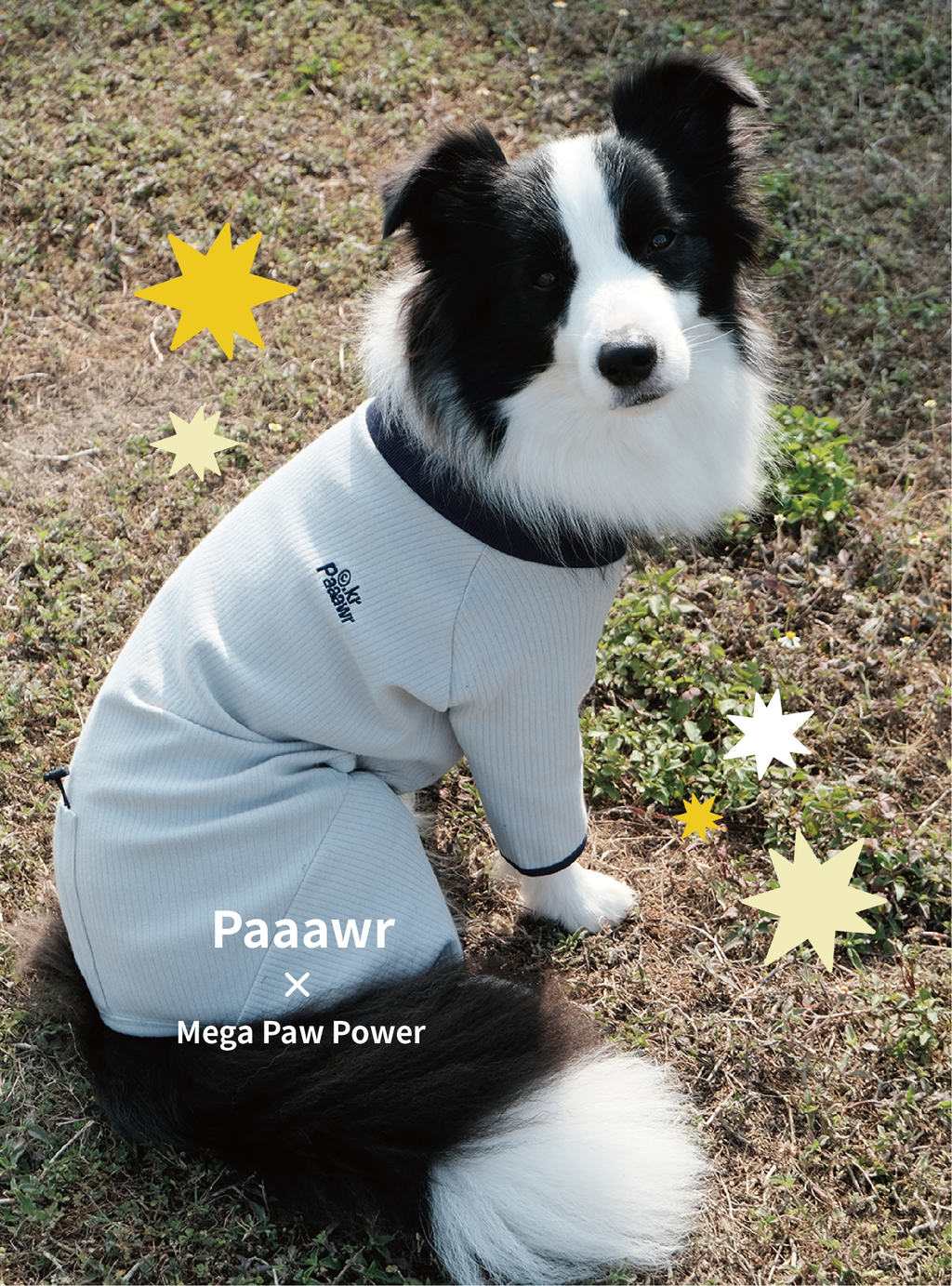 Paaawr｜翻領雙面連身衣 Flip Neck All-in-one_Grey
