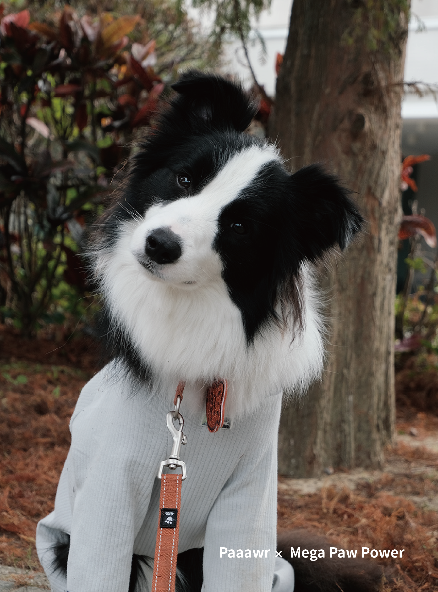 Paaawr｜翻領雙面連身衣 Flip Neck All-in-one_Grey