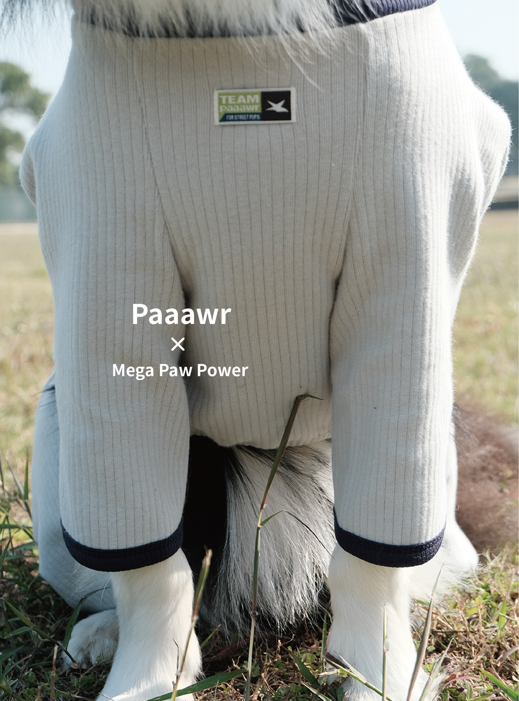 Paaawr｜翻領雙面連身衣 Flip Neck All-in-one_Grey