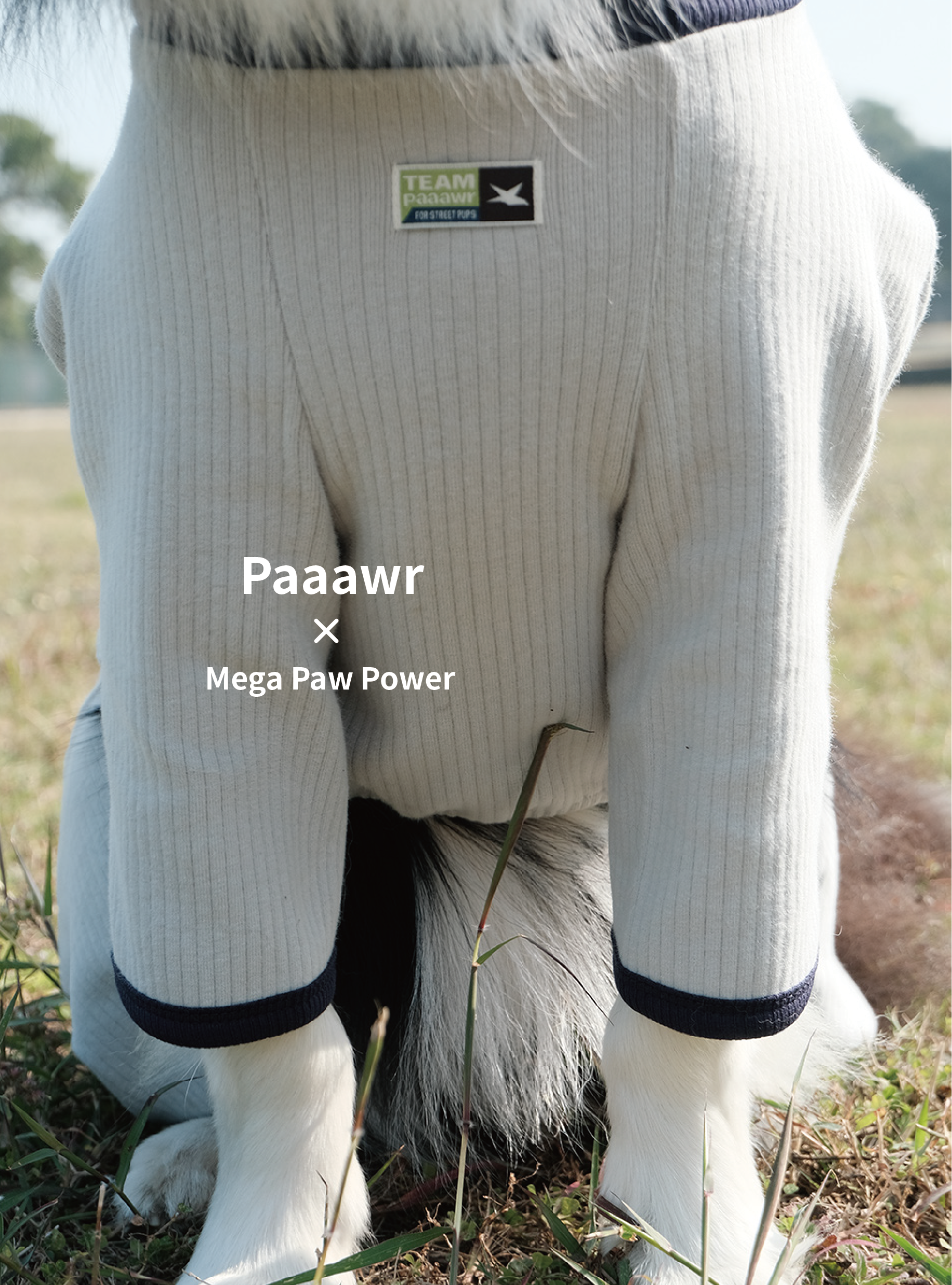 Paaawr｜翻領雙面連身衣 Flip Neck All-in-one_Grey