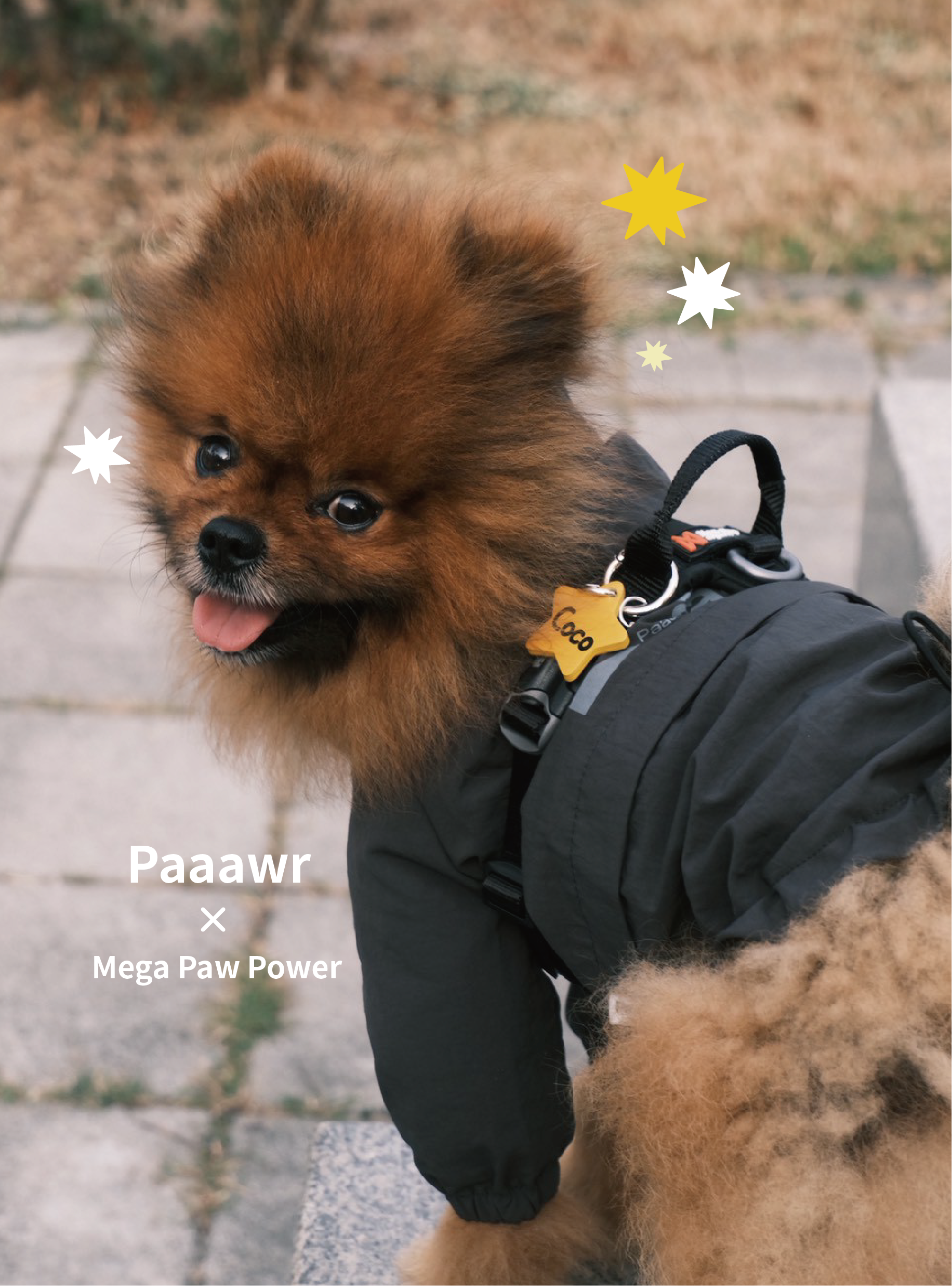 Paaawr｜經典防潑水風衣外套 Signature Windbreaker_Charcoal