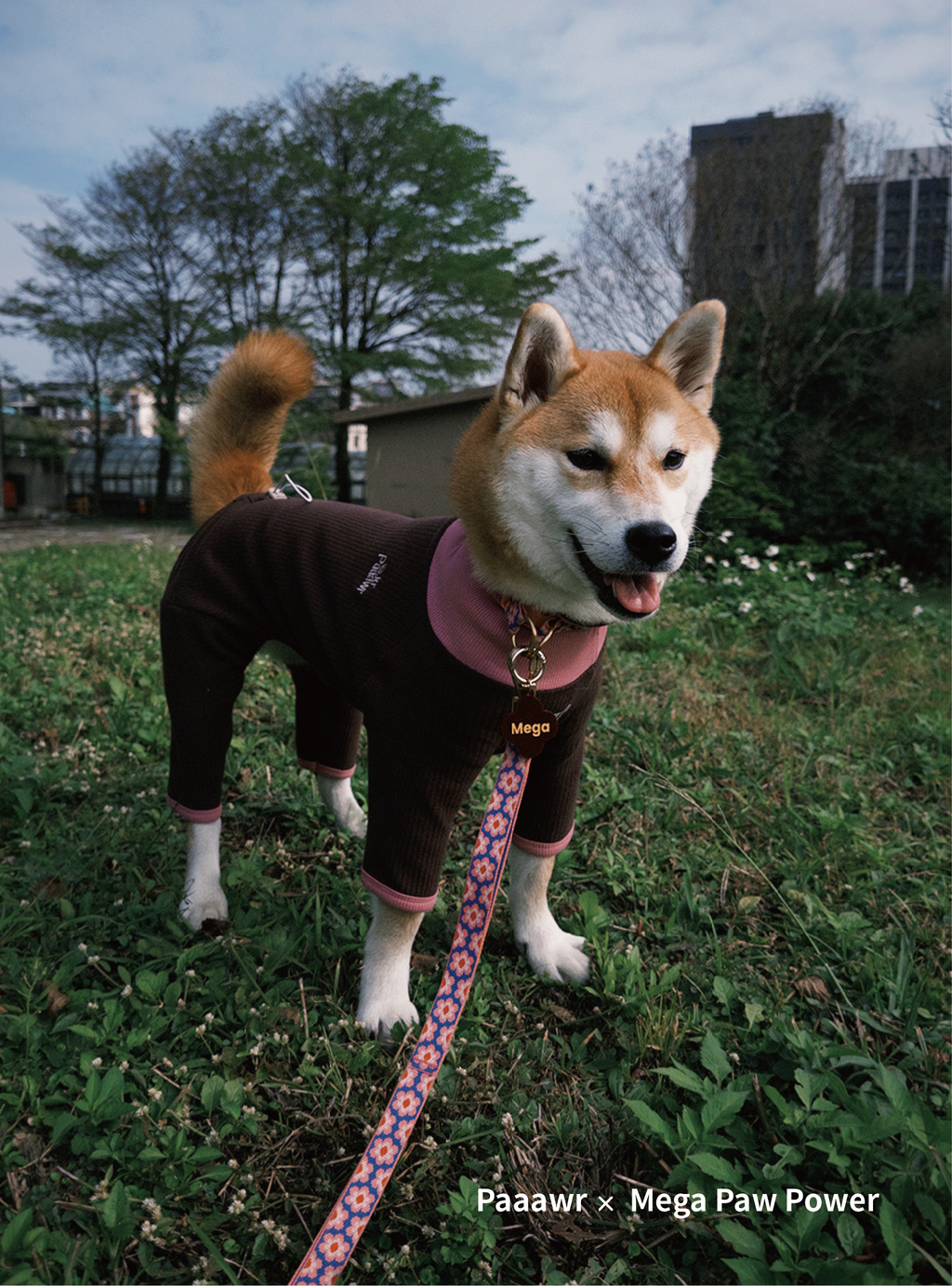 Paaawr｜翻領雙面連身衣 Flip Neck All-in-one_Brown