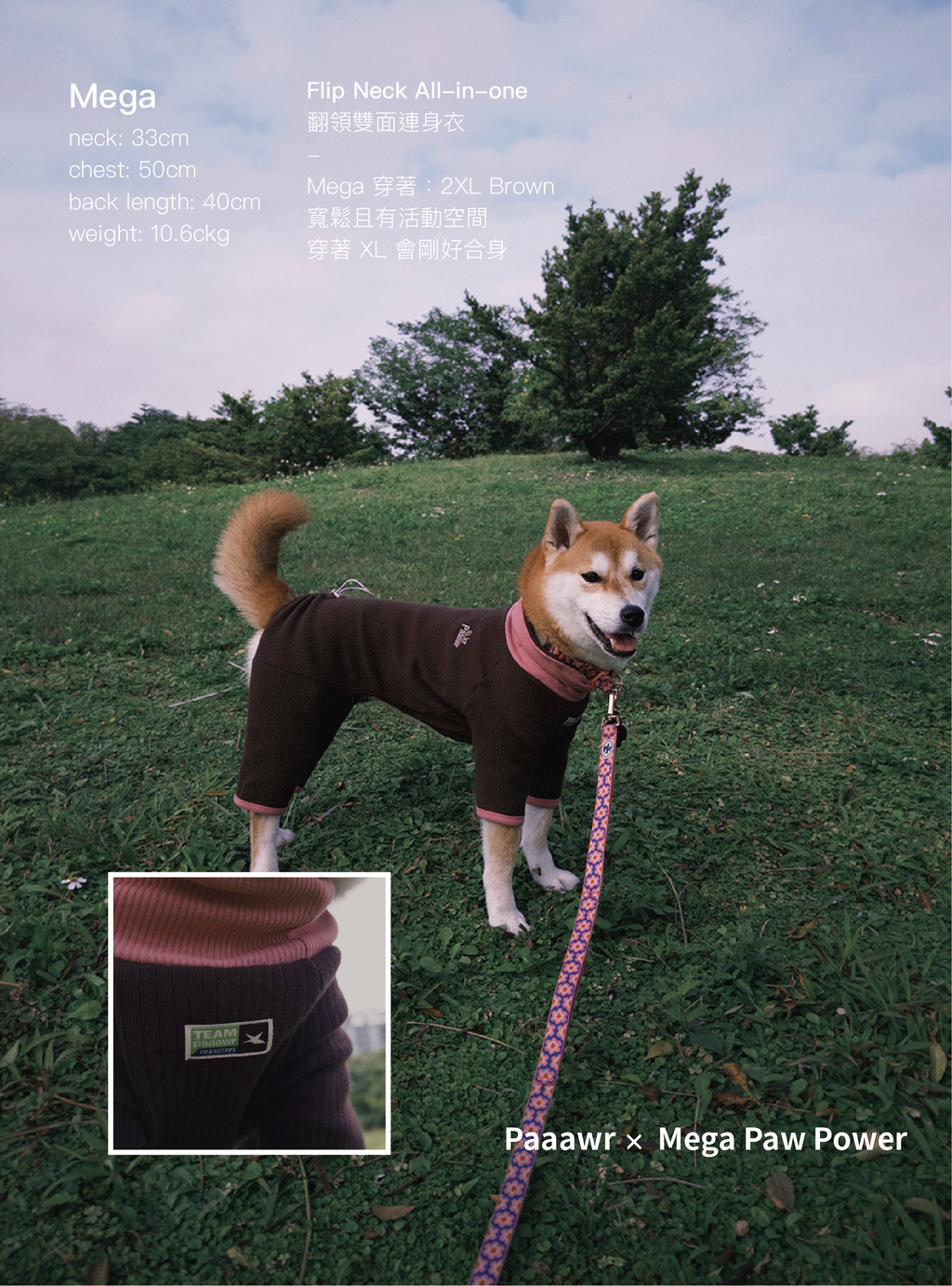Paaawr｜翻領雙面連身衣 Flip Neck All-in-one_Brown