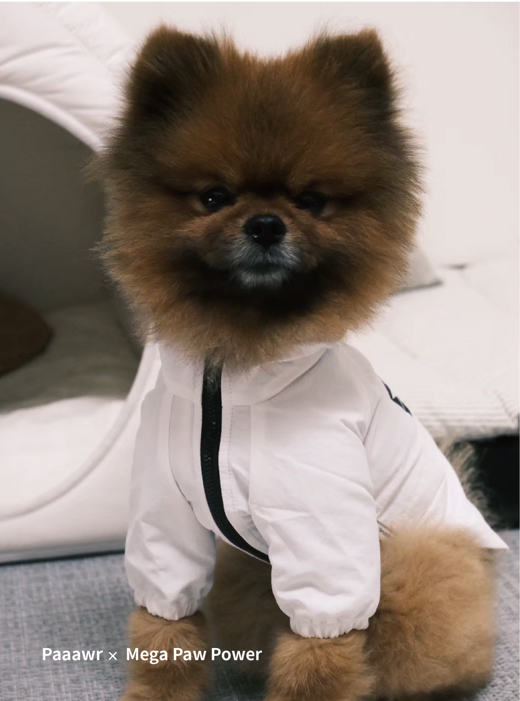Paaawr｜經典防潑水風衣外套 Signature Windbreaker_White