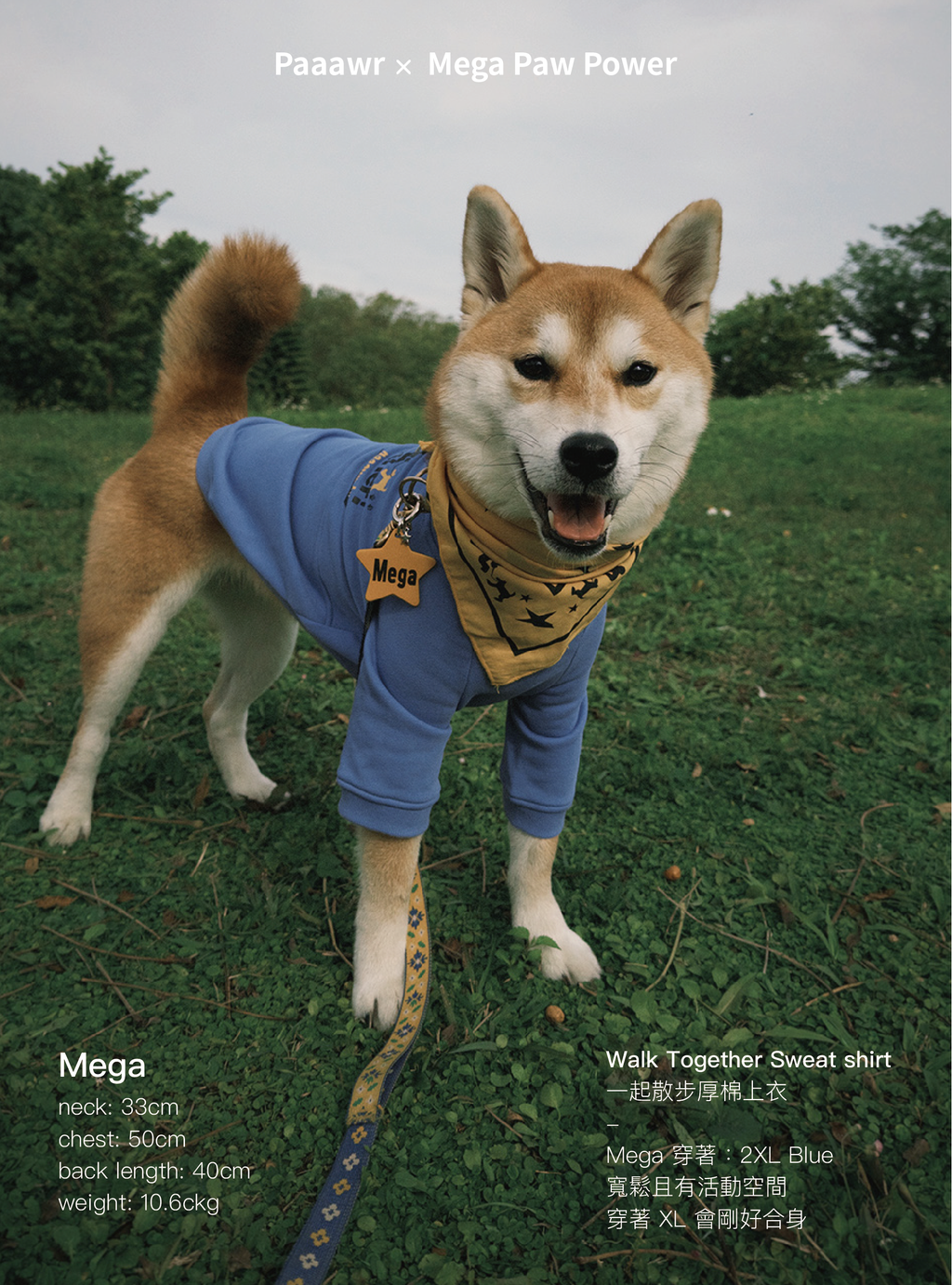 Paaawr｜一起散步厚棉上衣 Walk Together Sweat shirt_Blue