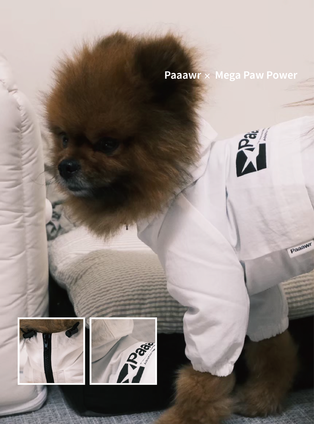 Paaawr｜經典防潑水風衣外套 Signature Windbreaker_White