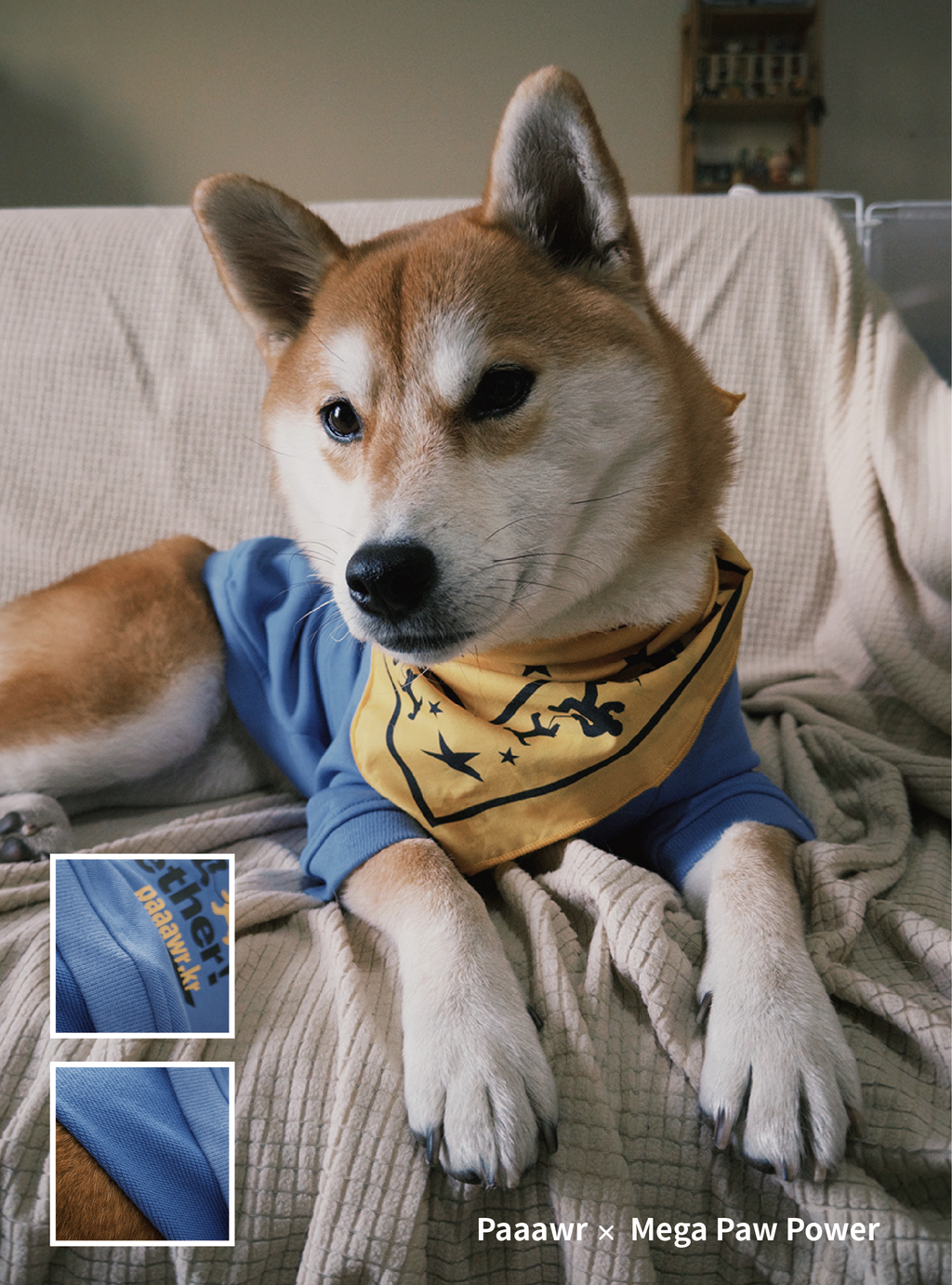 Paaawr｜一起散步厚棉上衣 Walk Together Sweat shirt_Blue