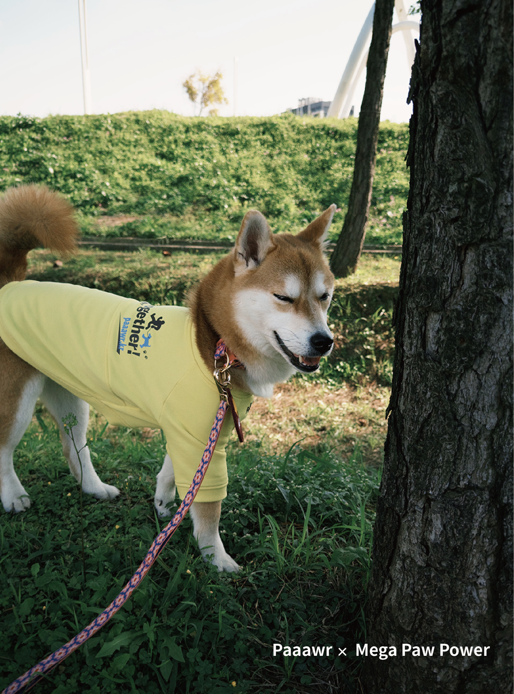 Paaawr｜一起散步厚棉上衣 Walk Together Sweat shirt_Lemon