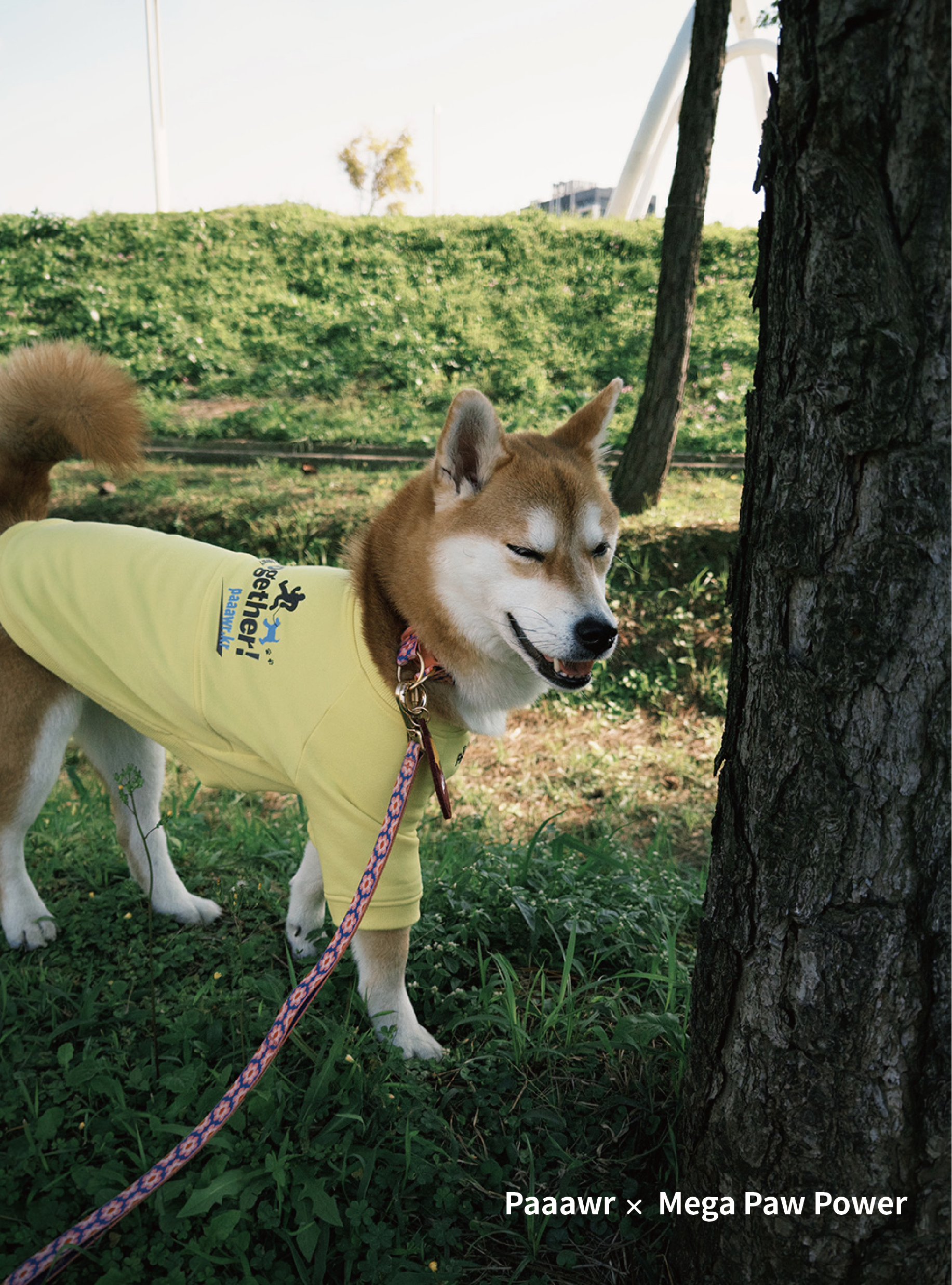 Paaawr｜一起散步厚棉上衣 Walk Together Sweat shirt_Lemon