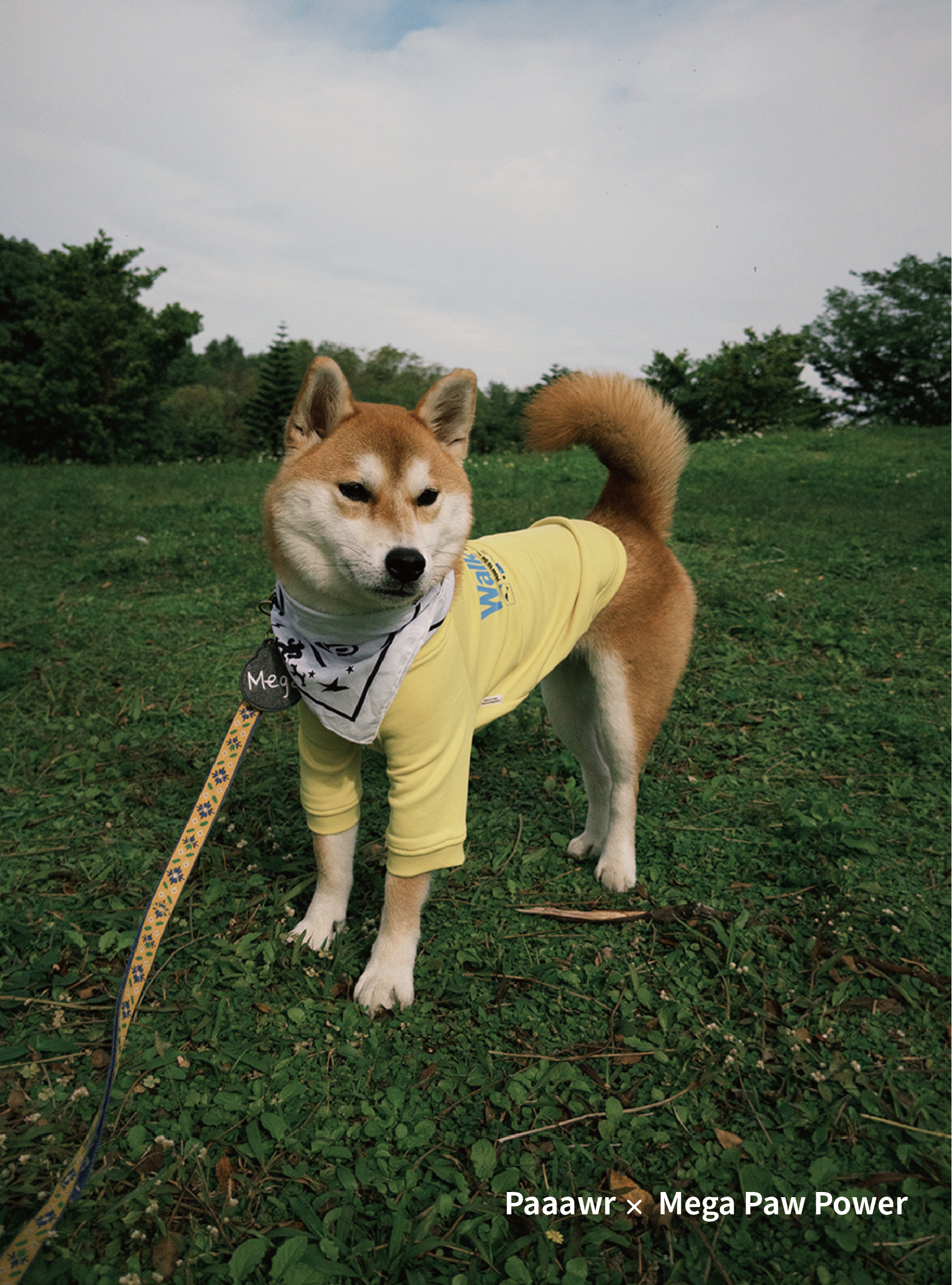 Paaawr｜一起散步厚棉上衣 Walk Together Sweat shirt_Lemon