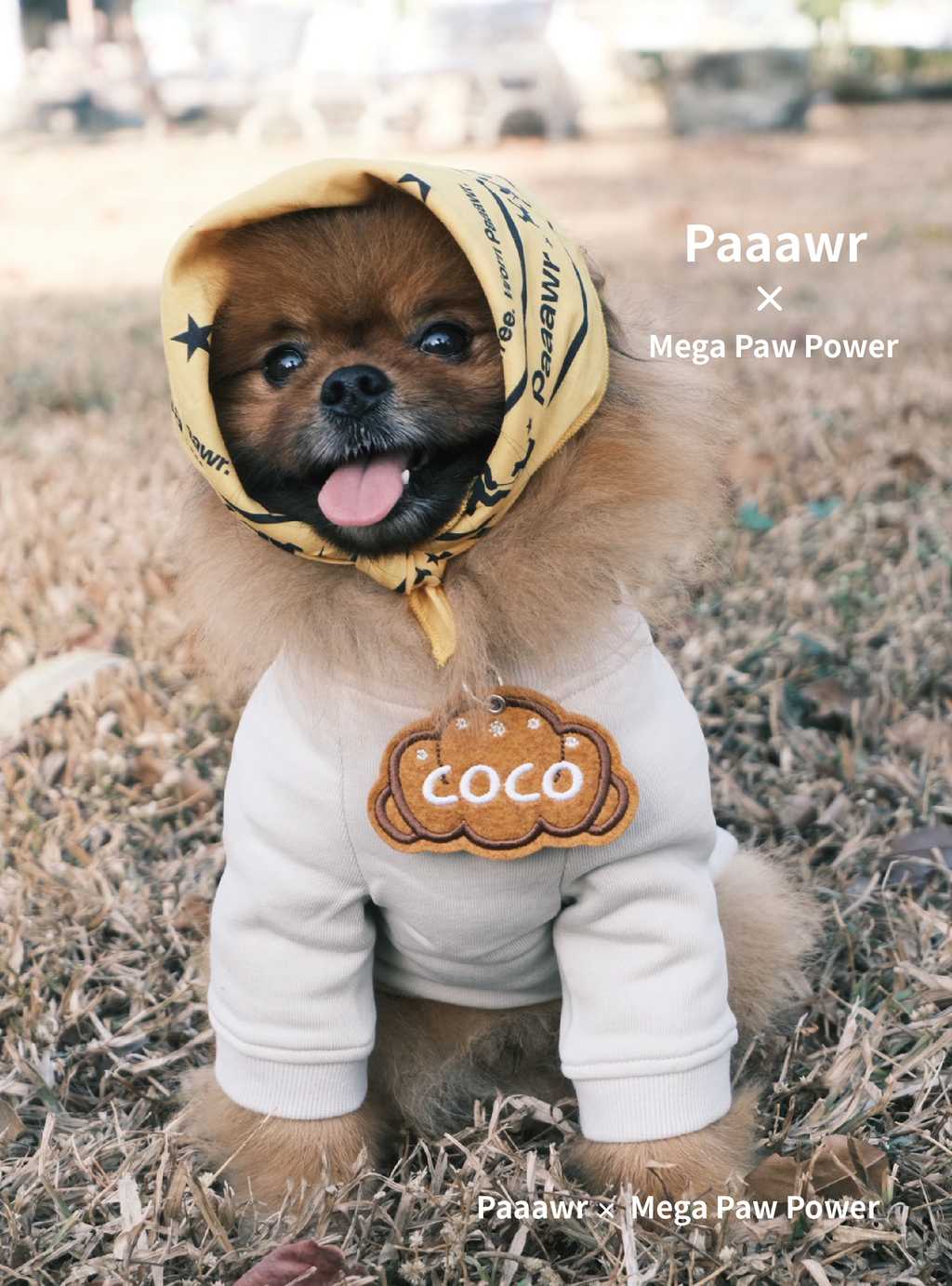 Paaawr｜一起散步厚棉上衣 Walk Together Sweat shirt_Beige