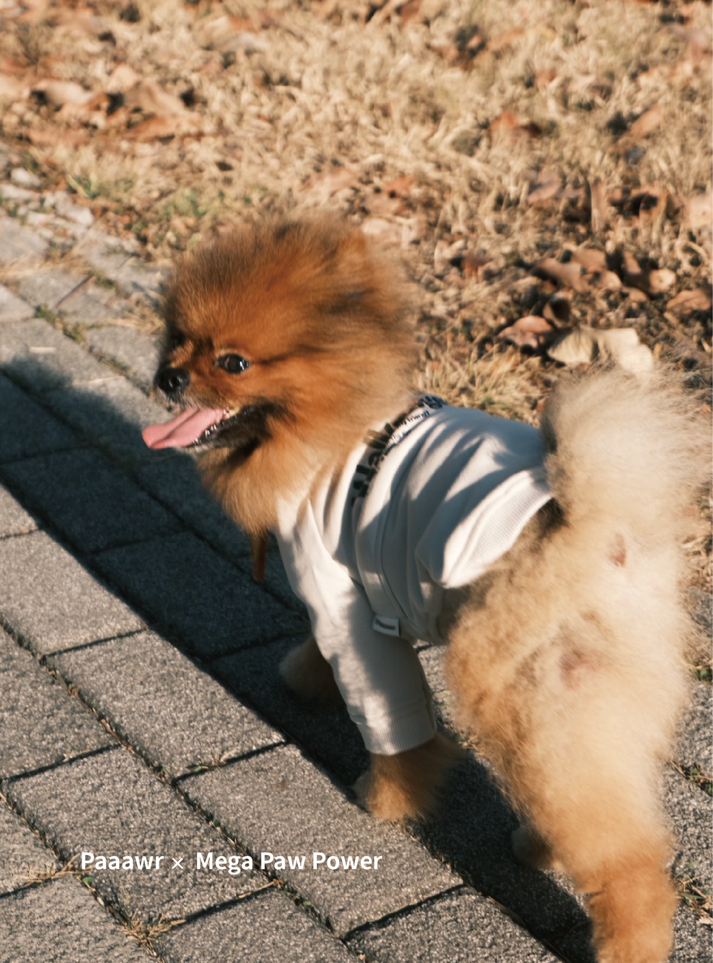 Paaawr｜一起散步厚棉上衣 Walk Together Sweat shirt_Beige