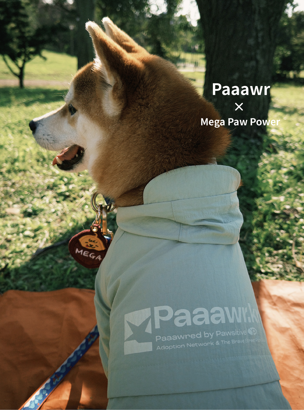 Paaawr｜經典防潑水風衣外套 Signature Windbreaker_Green
