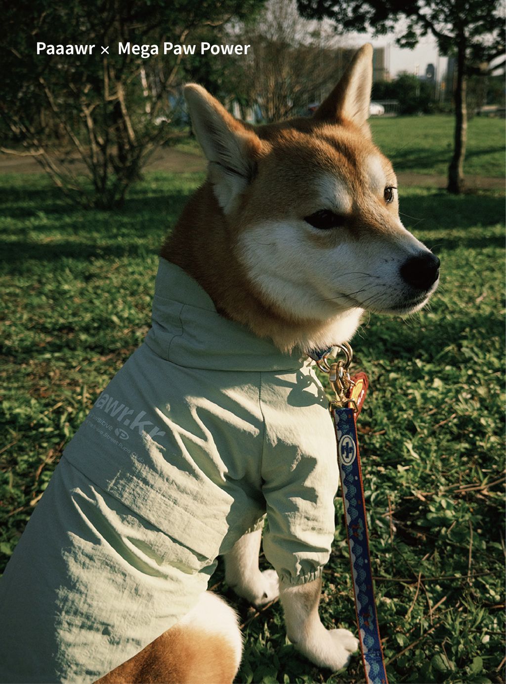 Paaawr｜經典防潑水風衣外套 Signature Windbreaker_Green