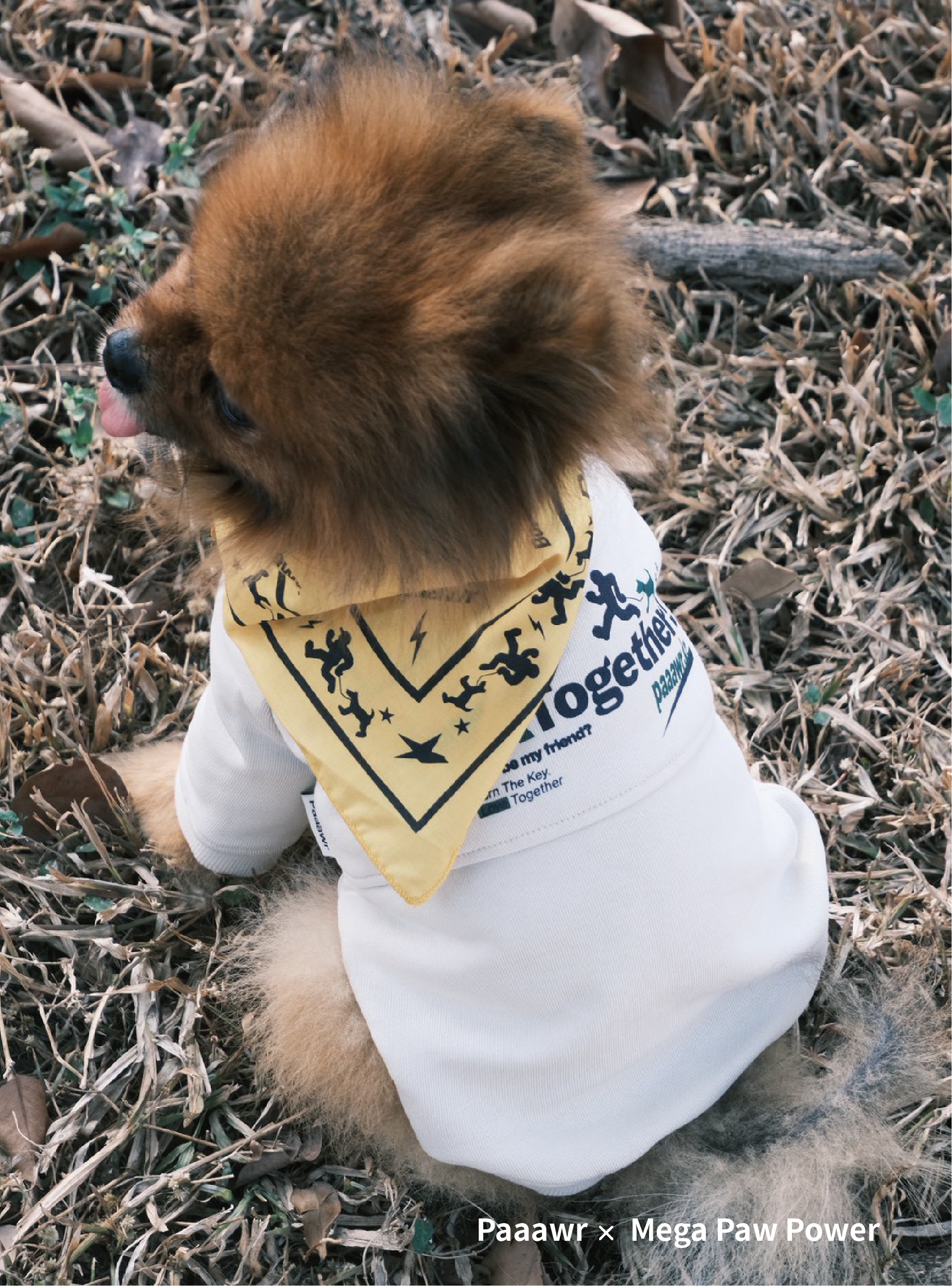 Paaawr｜一起散步厚棉上衣 Walk Together Sweat shirt_Beige