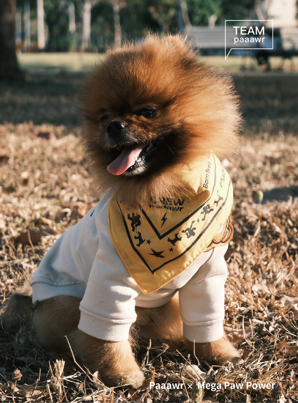 Paaawr｜一起散步厚棉上衣 Walk Together Sweat shirt_Beige