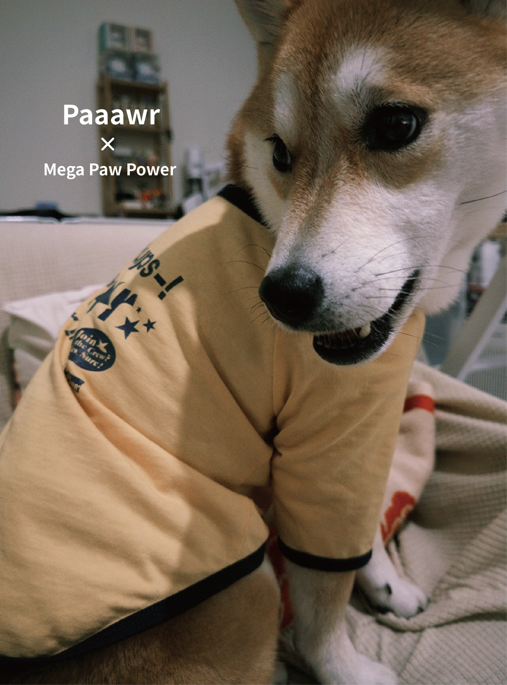 Paaawr｜星光撞色滾邊T Twinkle Ringer Tee_Yellow