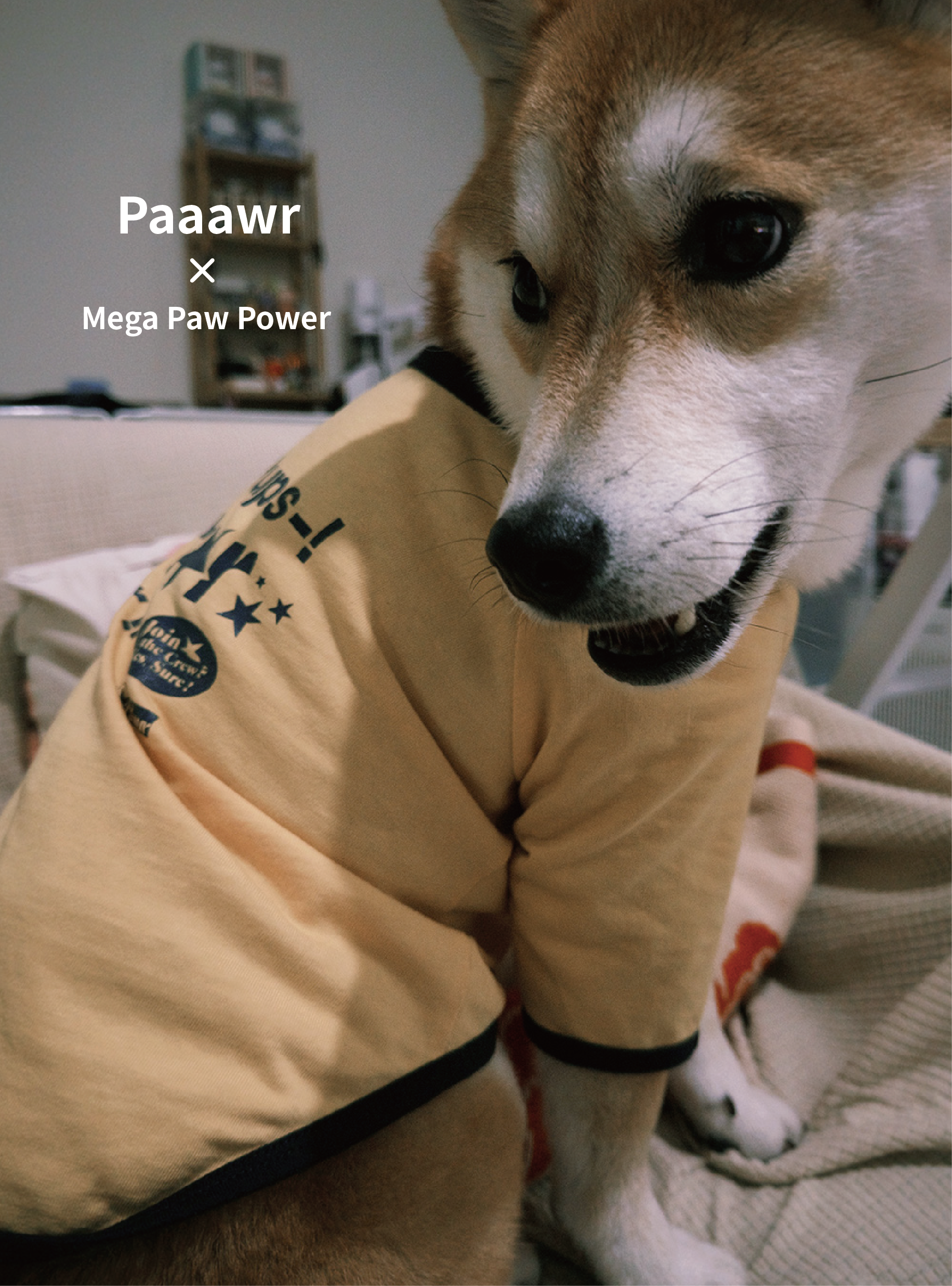 Paaawr｜星光撞色滾邊T Twinkle Ringer Tee_Yellow