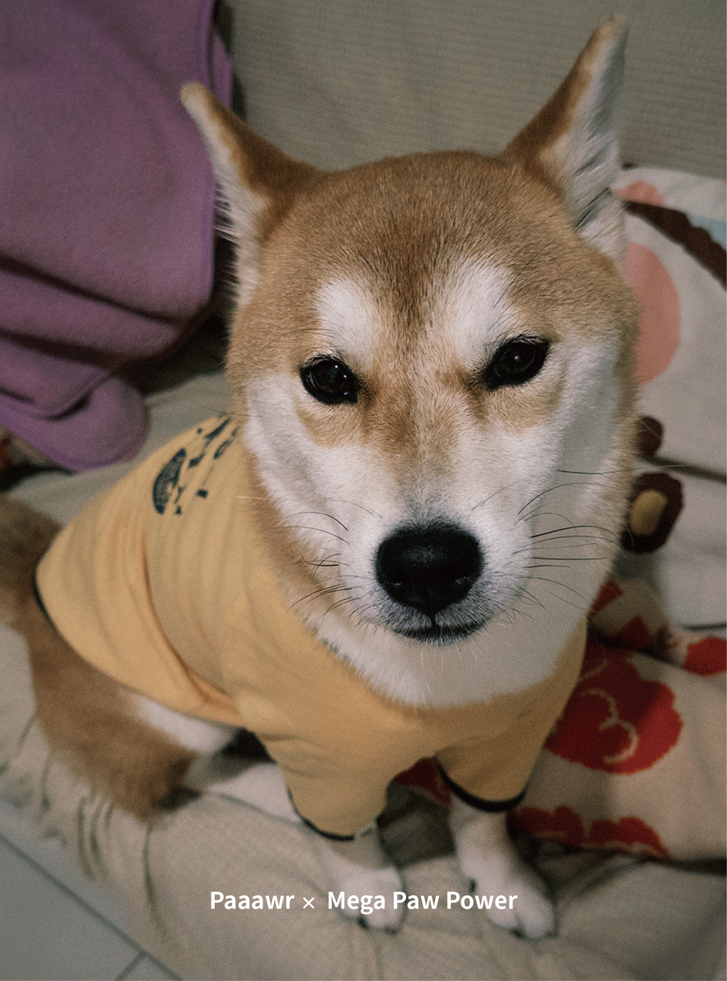 Paaawr｜星光撞色滾邊T Twinkle Ringer Tee_Yellow