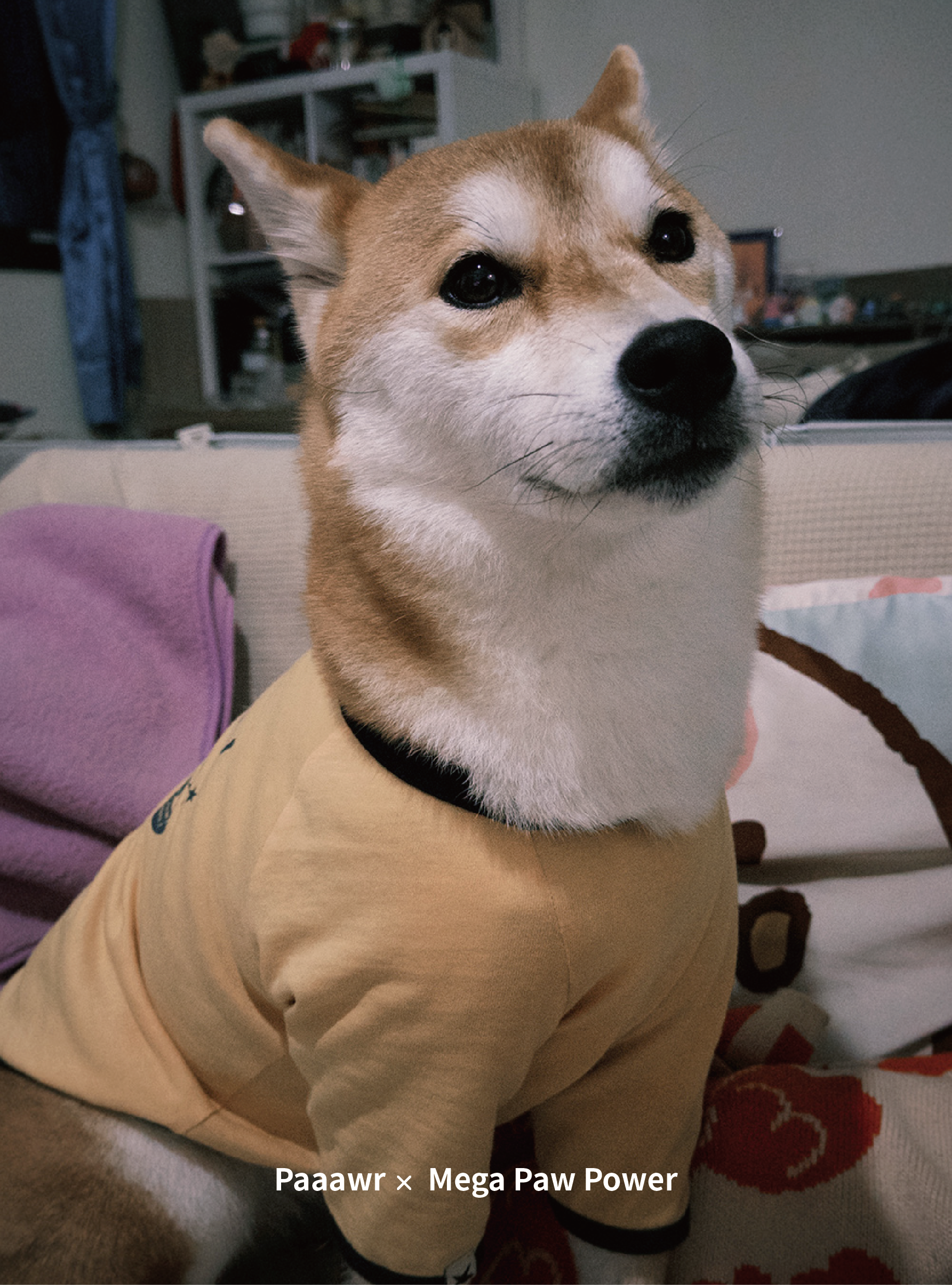 Paaawr｜星光撞色滾邊T Twinkle Ringer Tee_Yellow