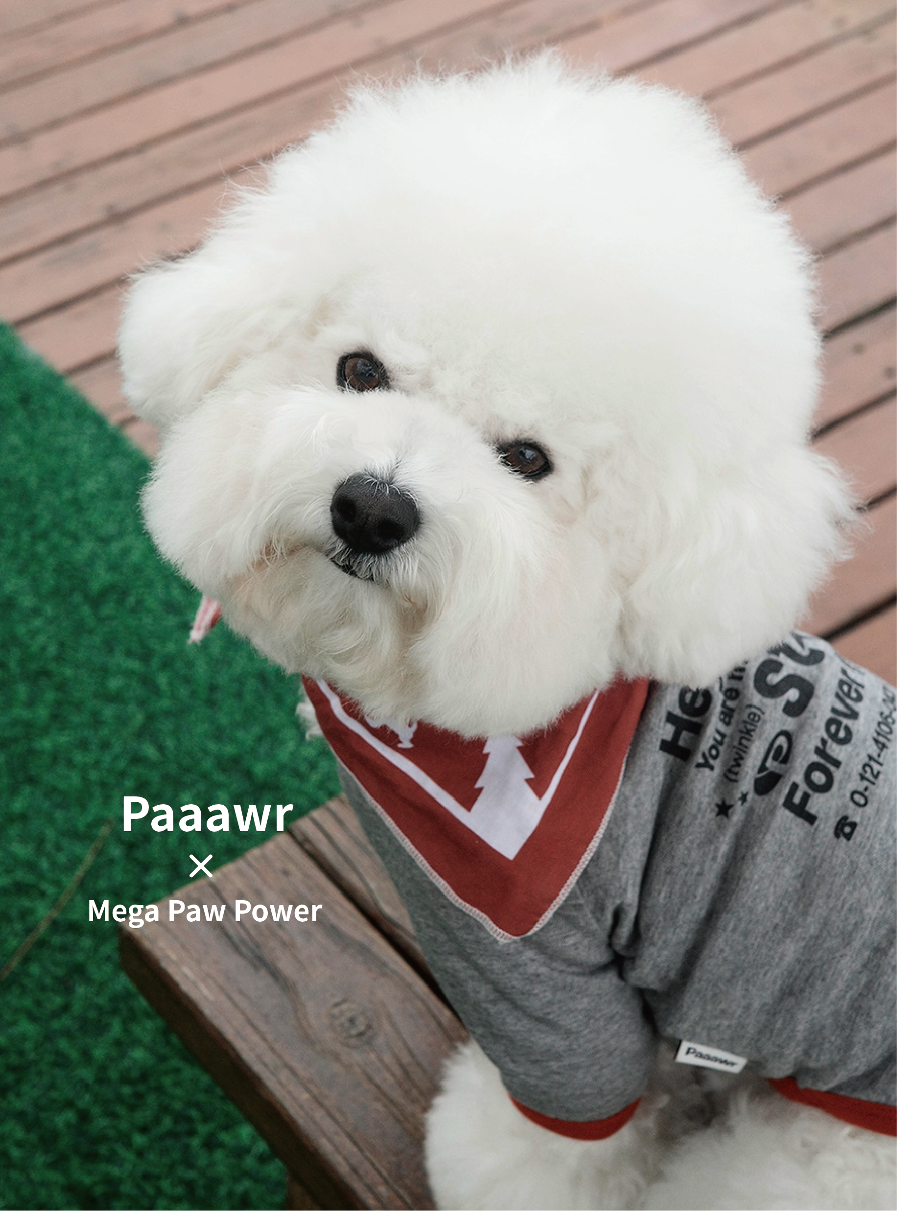 Paaawr｜星光撞色滾邊T Twinkle Ringer Tee_Melange