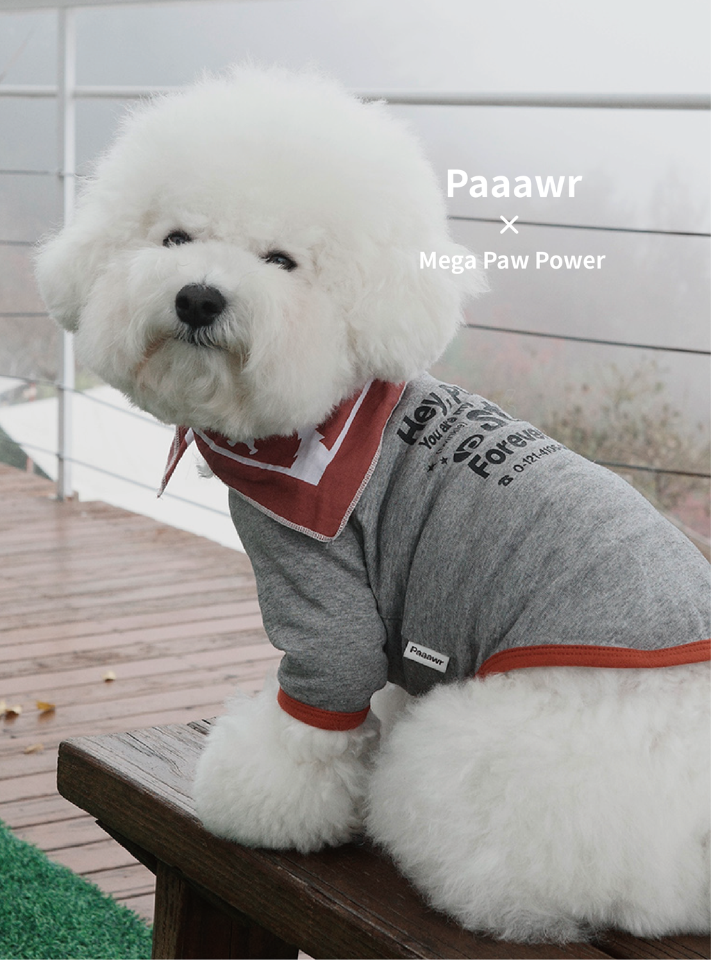 Paaawr｜星光撞色滾邊T Twinkle Ringer Tee_Melange