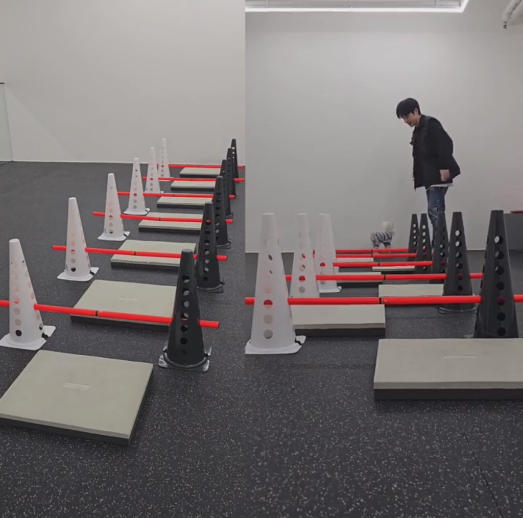 代購｜狗狗運動器械跨欄