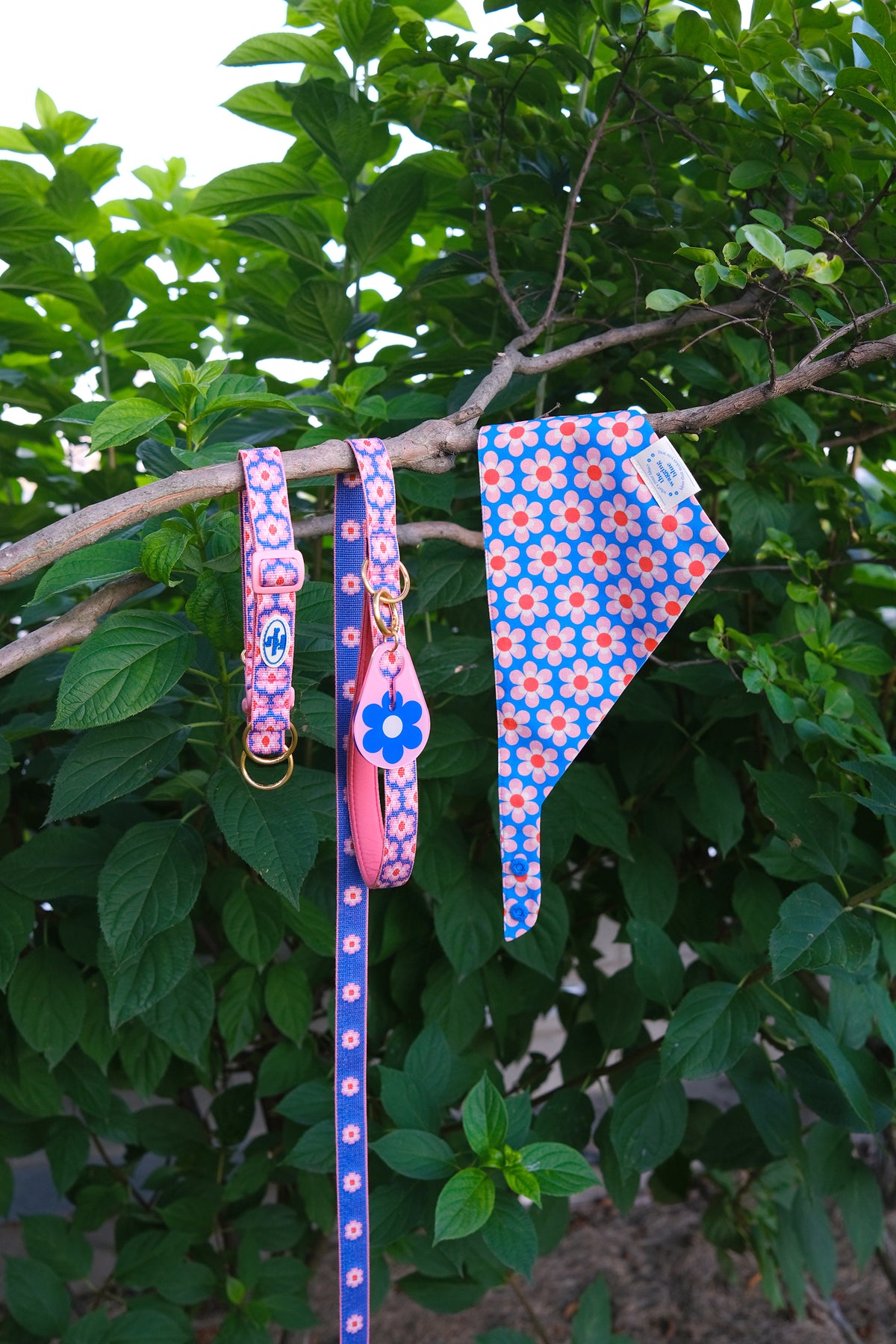 TWB｜Signature Leash｜經典牽繩（4色）
