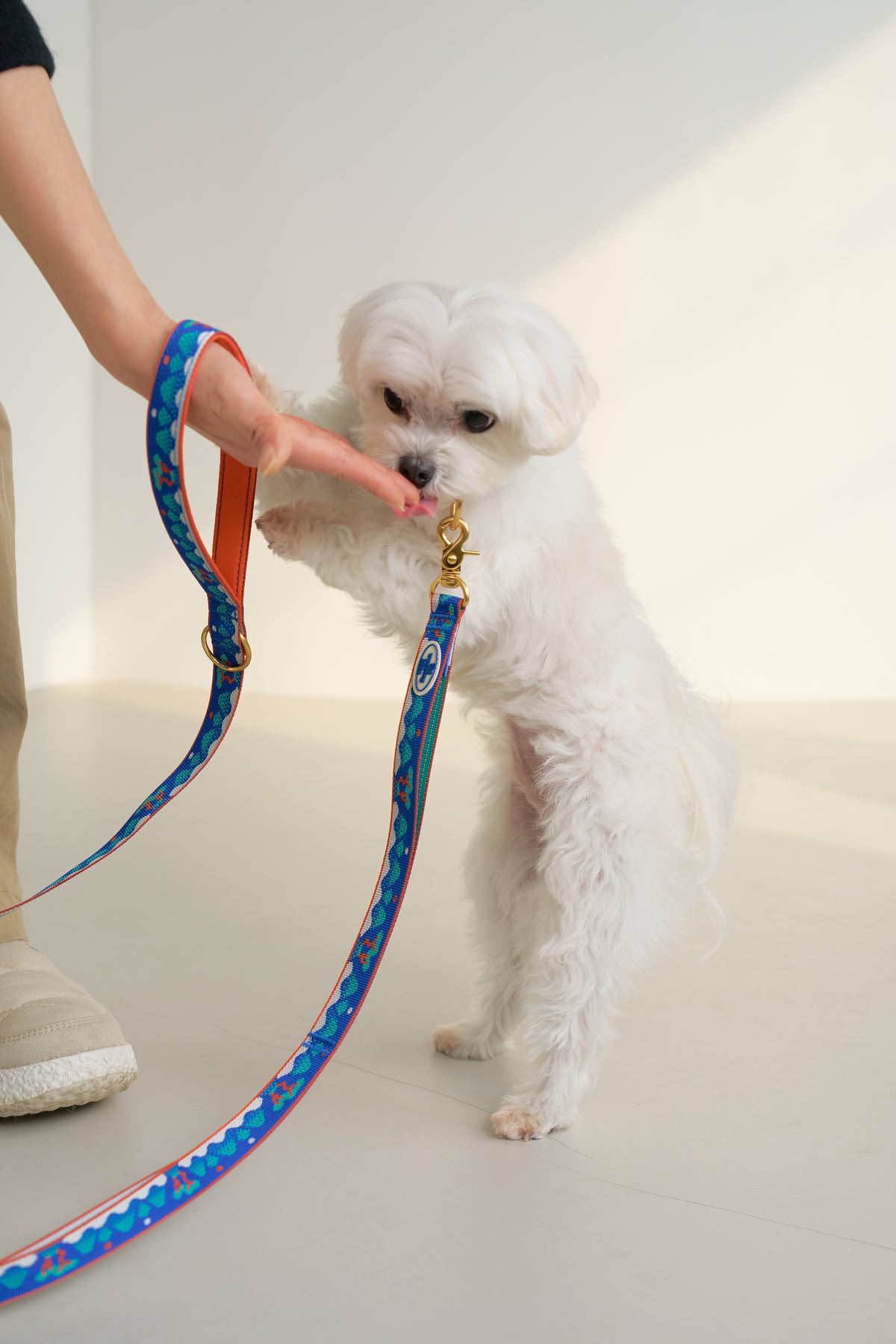 TWB｜Signature Leash｜經典牽繩（4色）