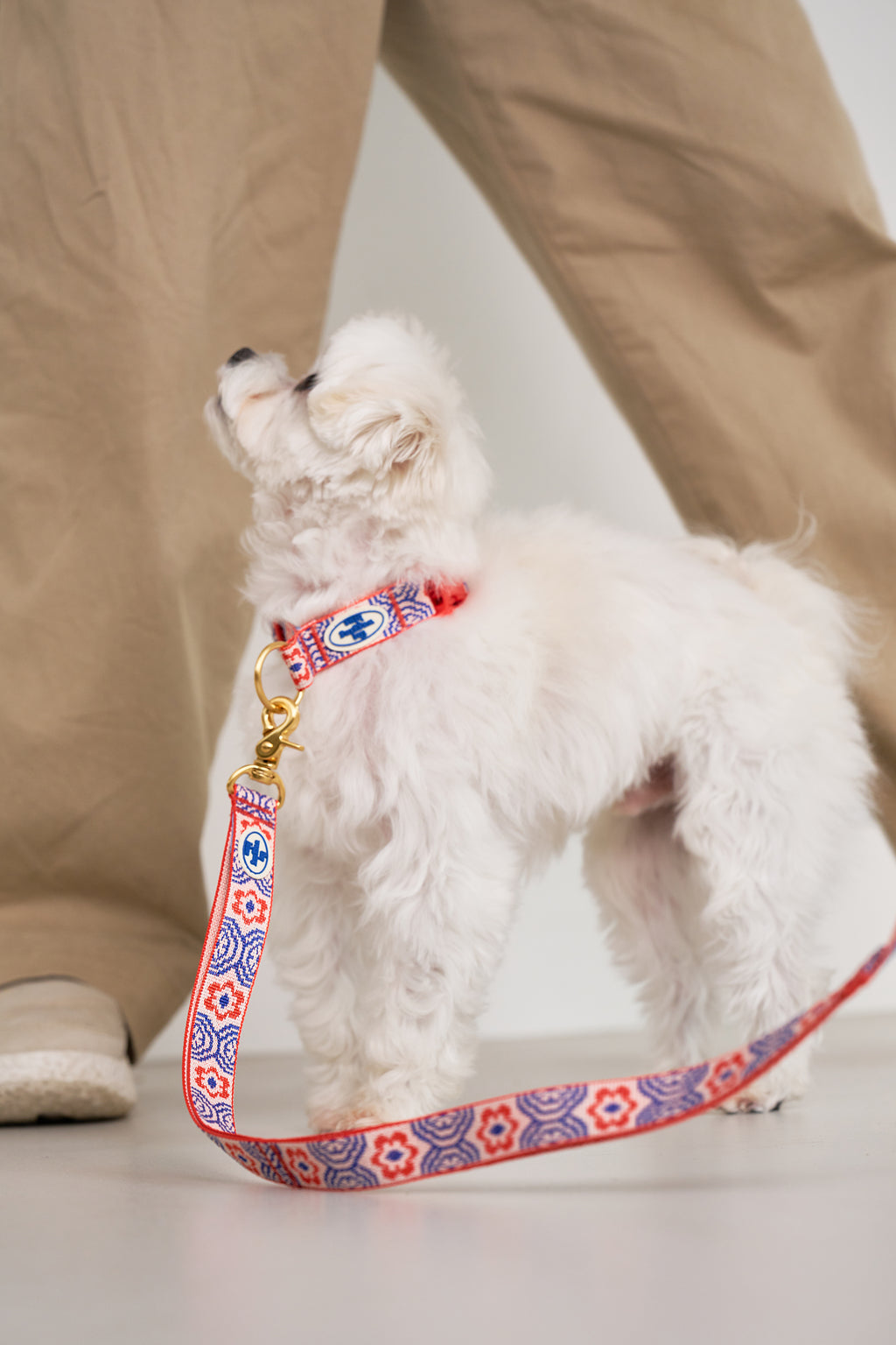 TWB｜Signature Leash｜經典牽繩（4色）