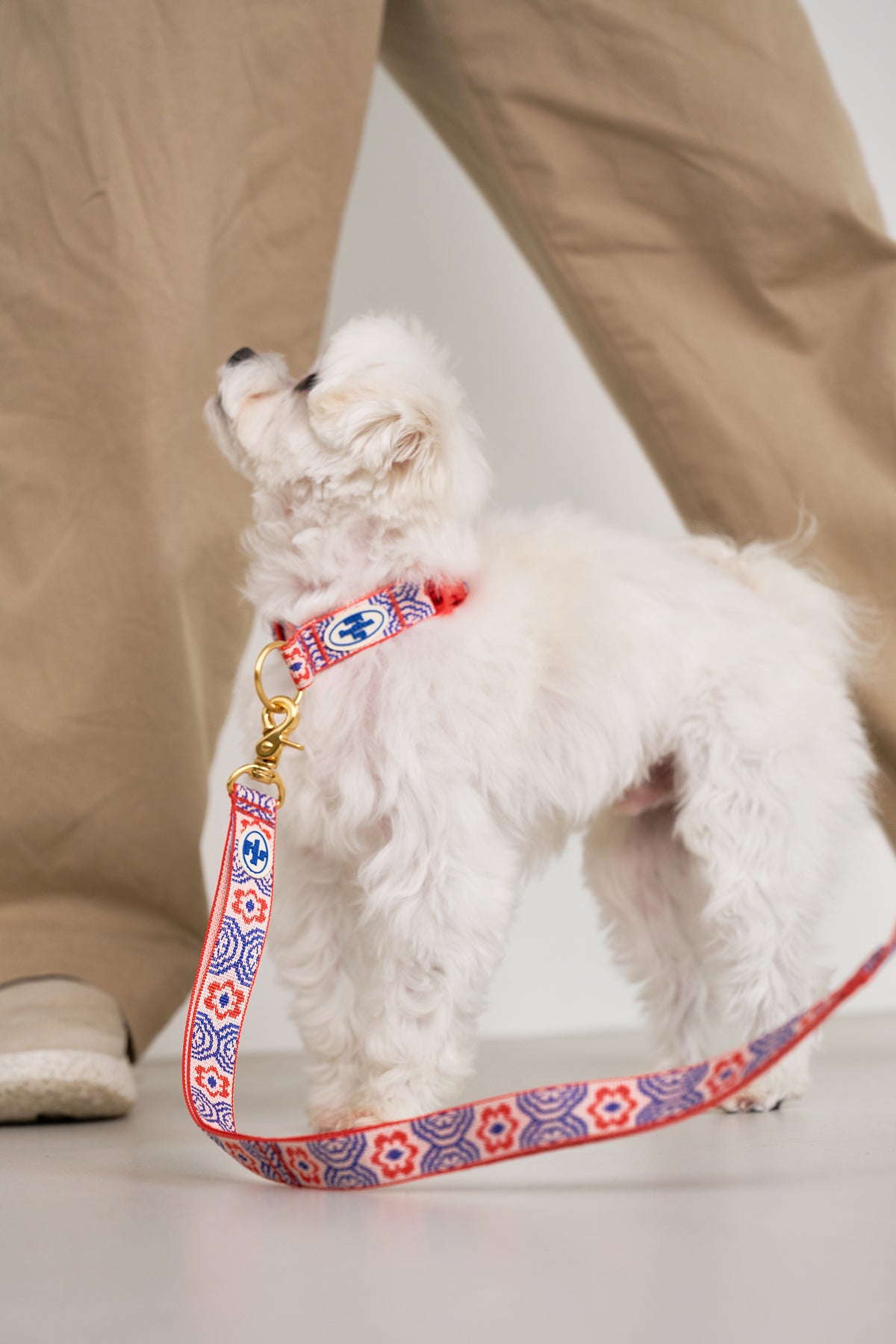TWB｜Signature Leash｜經典牽繩（4色）