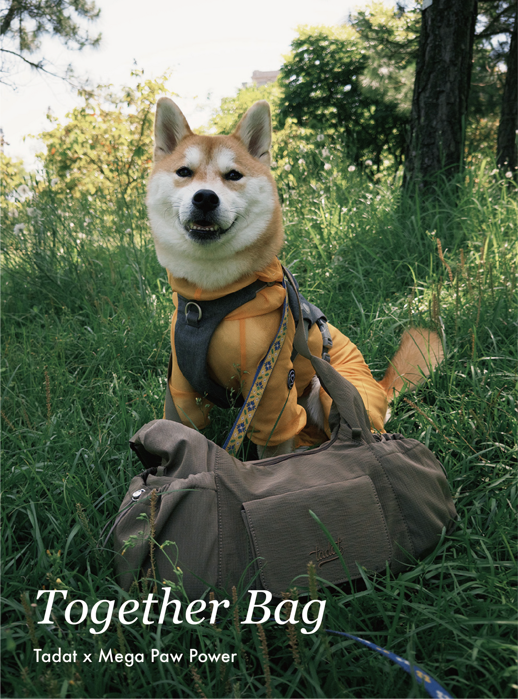 Tadat｜Togther Bag 一起散步包