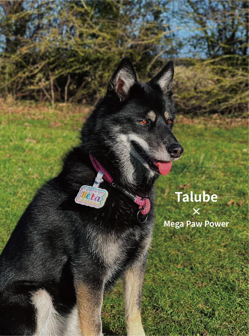 Talube｜Mallow Tag 刺繡吊牌