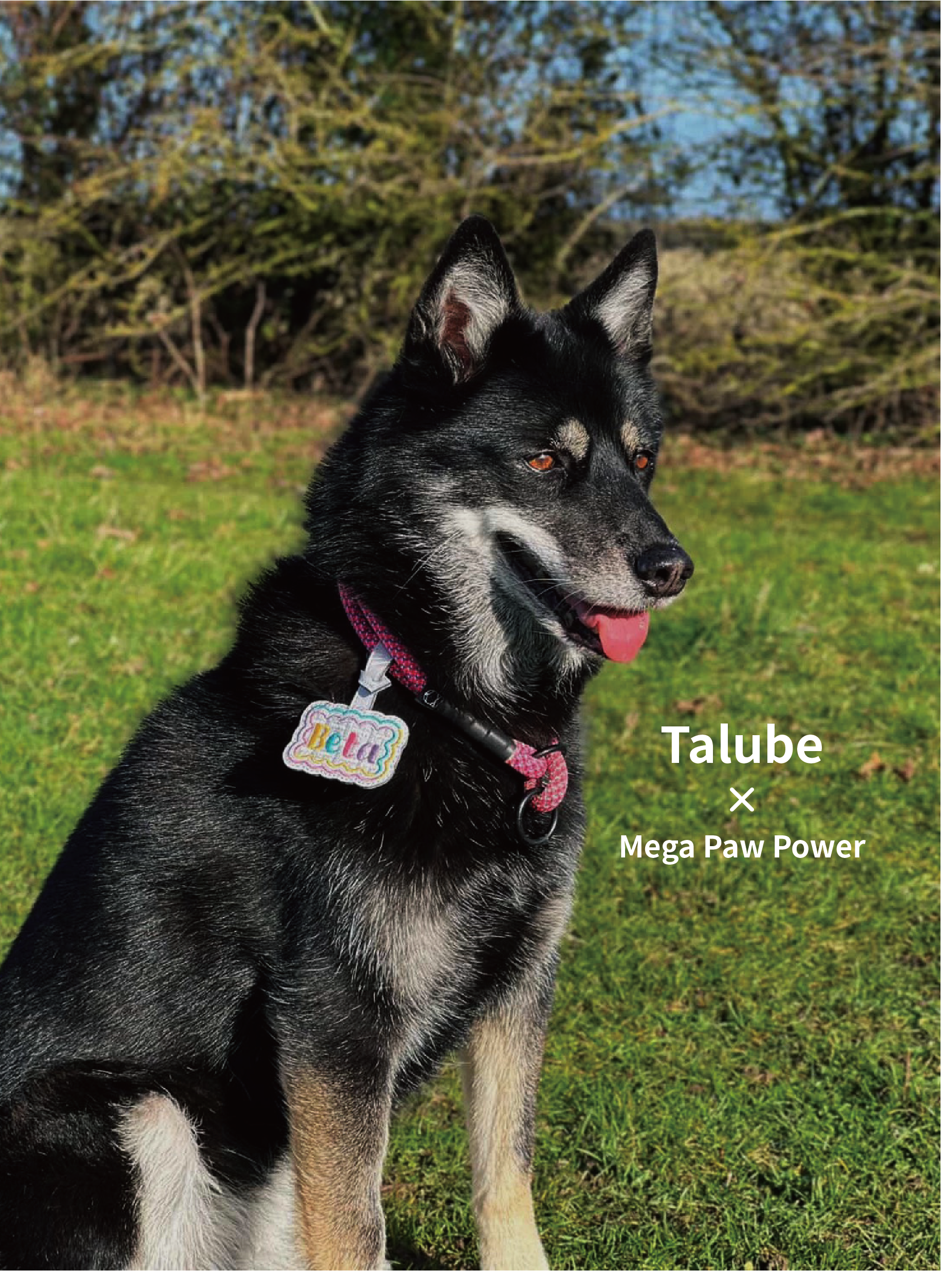 Talube｜Mallow Tag 刺繡吊牌
